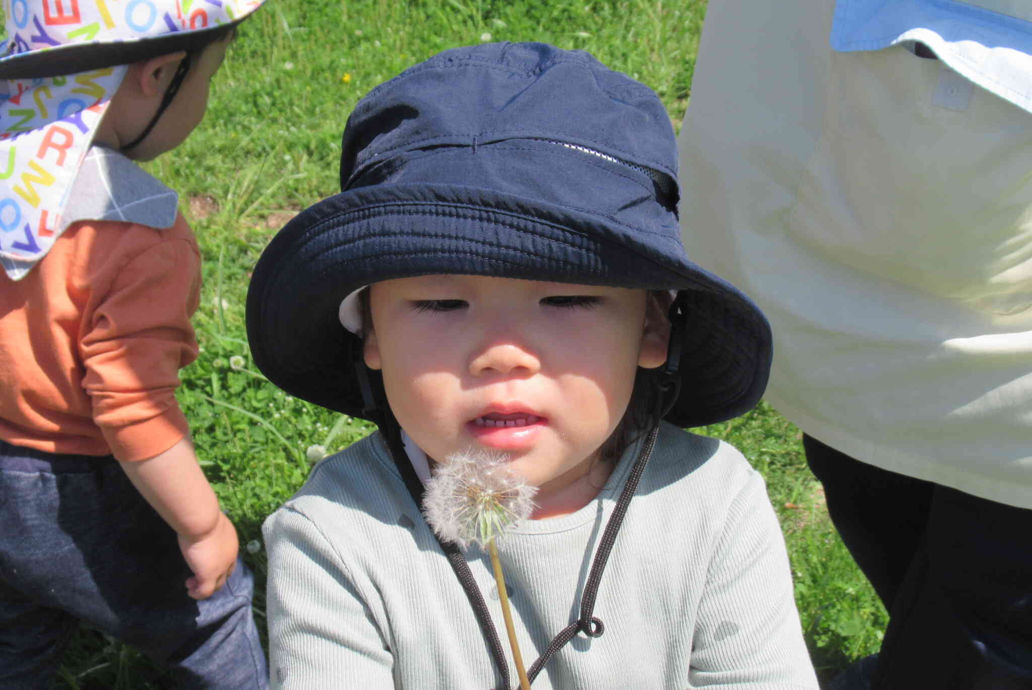 たんぽぽ飛んでいけ～！