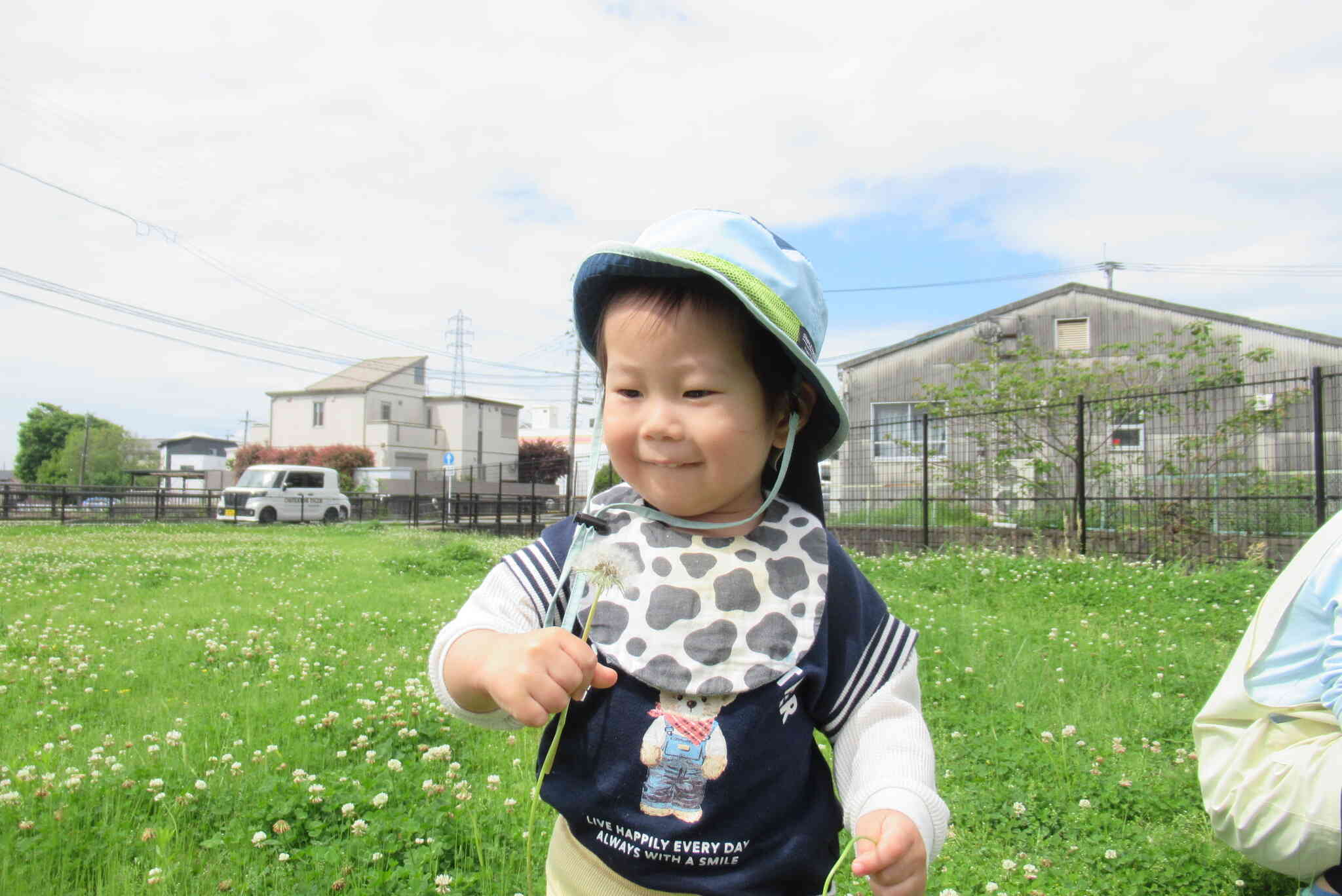 タンポポの綿毛、見つけたよ！