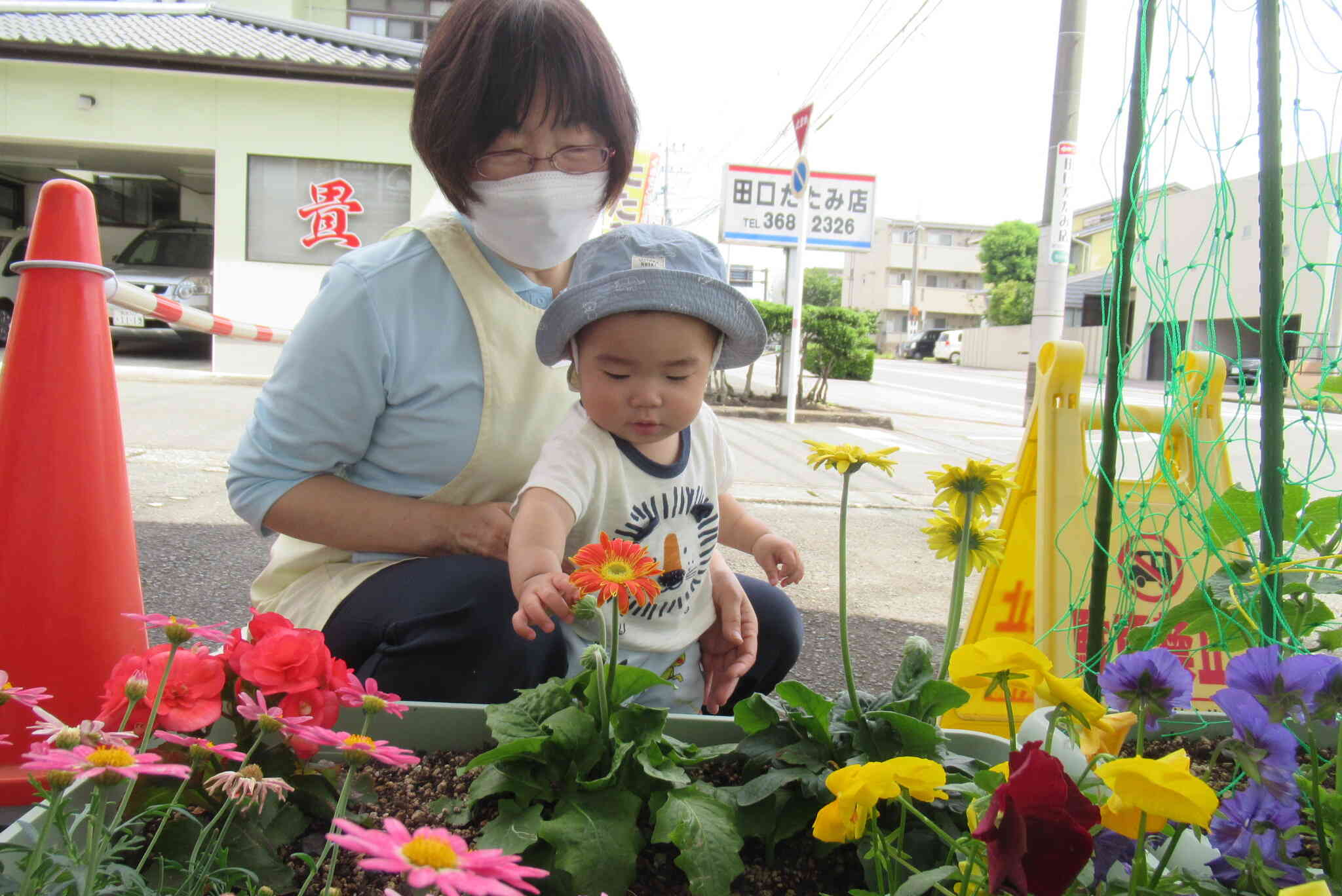 お花を見に行ったよ！