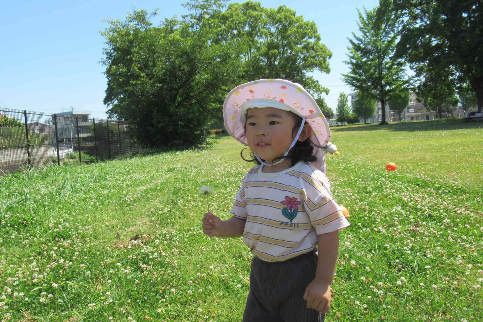 公園へレッツゴー！