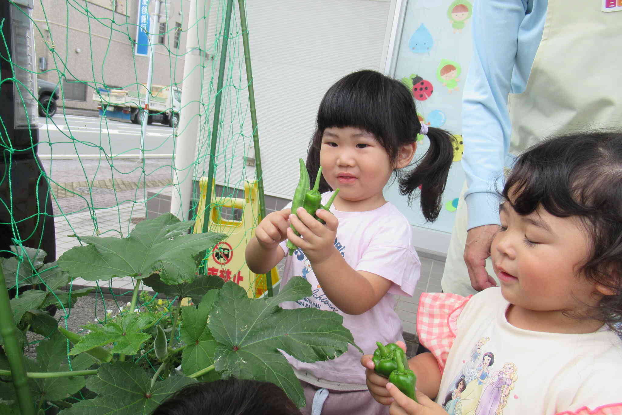 夏野菜！