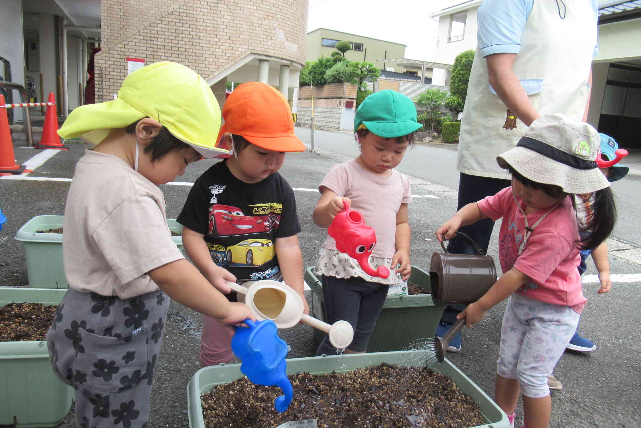 お水をあげよう！