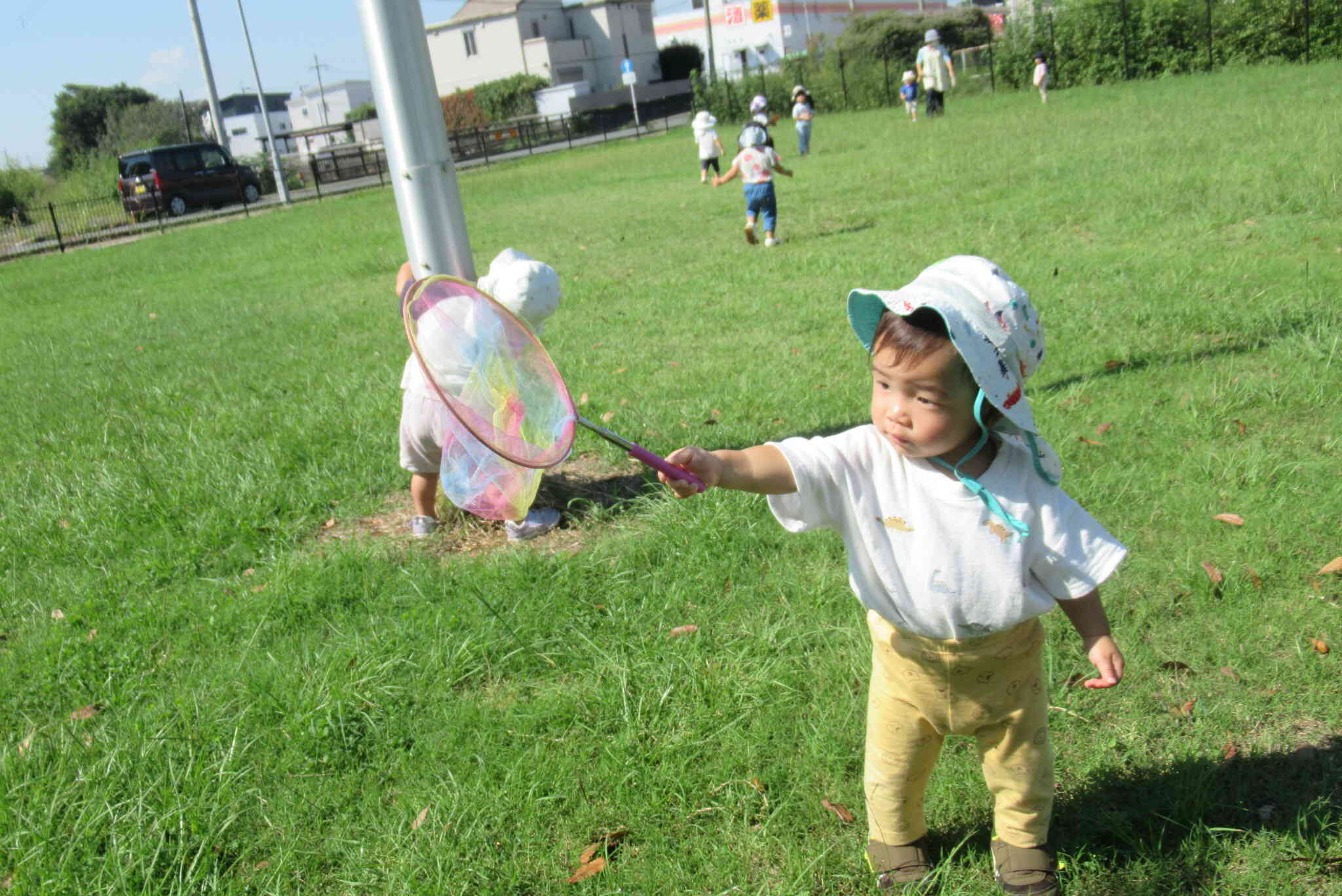 虫取りに挑戦！