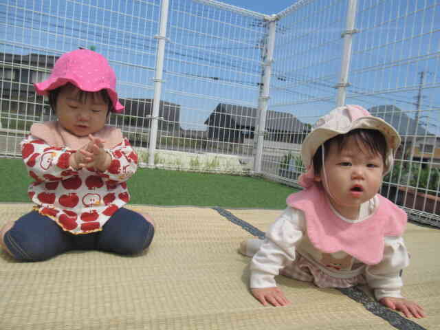 ひなたぼっこをしたよ！
