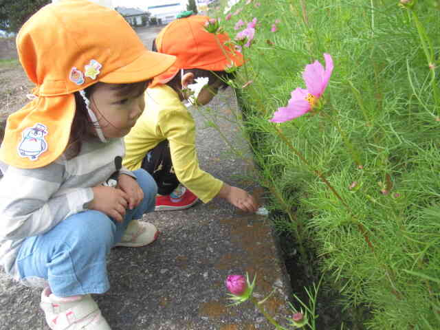 お散歩に行ったよ　　(あひる組１歳児)