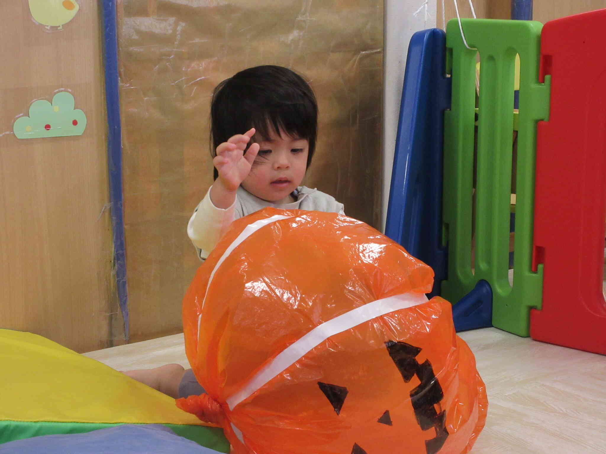 ふわふわカボチャかわいいね♬