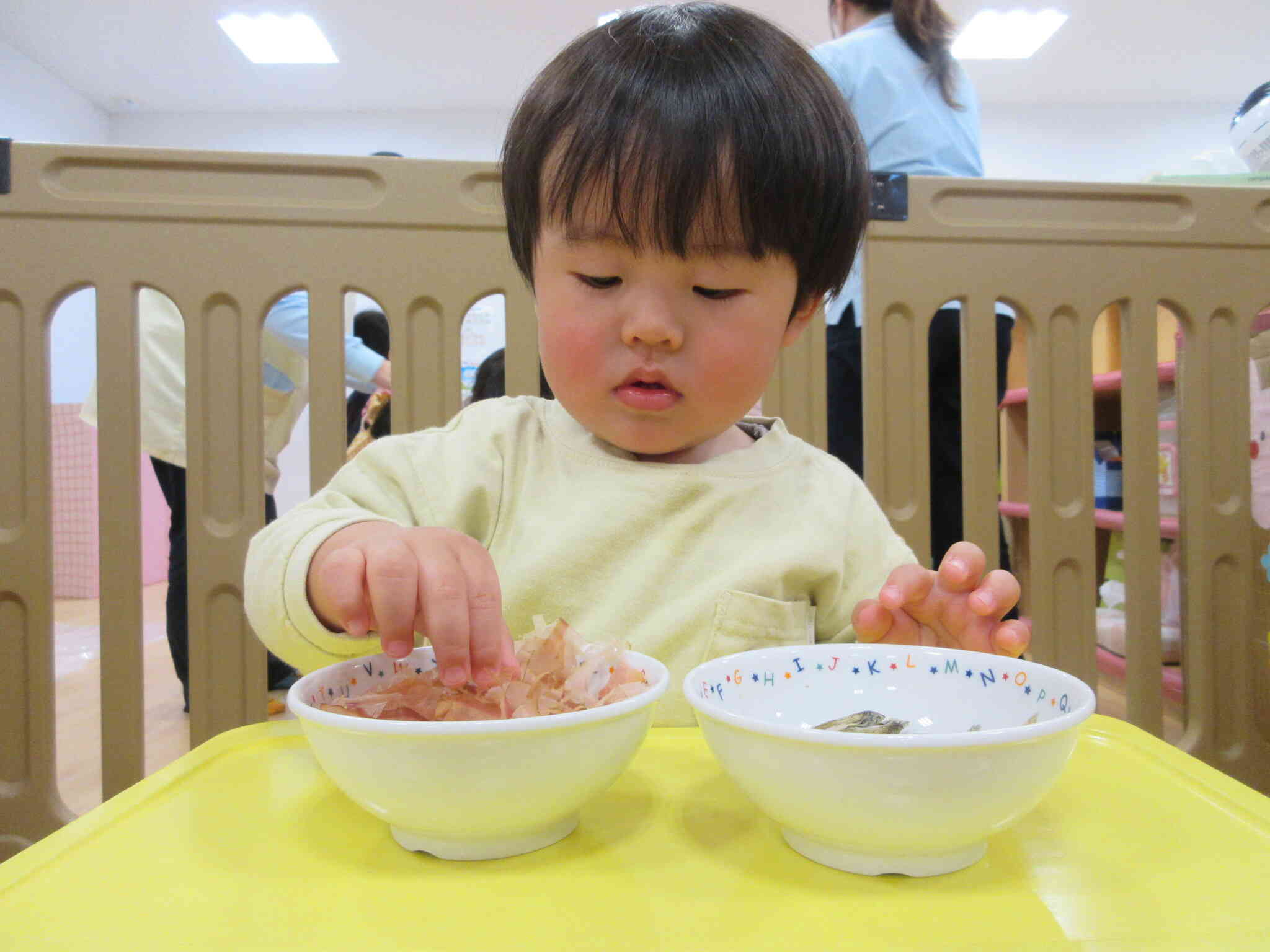 出汁に入っているかつおぶしといりこを触ったよ♪
