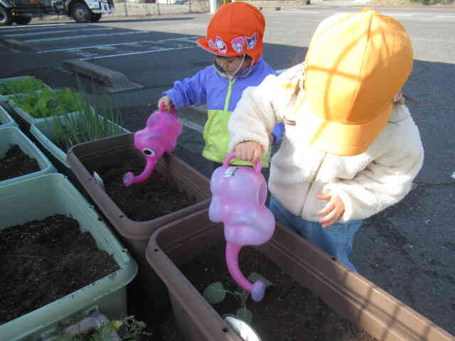 大きくな〜れ♪