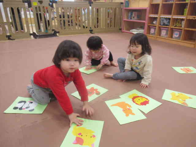 あった～！！動物かるた大人気です☆