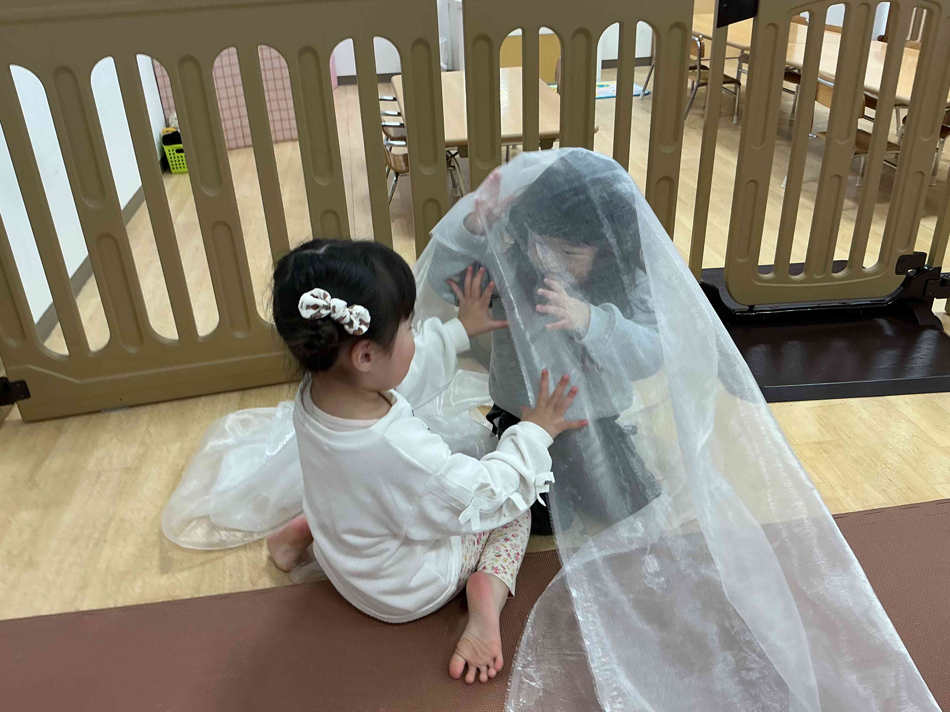 みえたみえた〜！