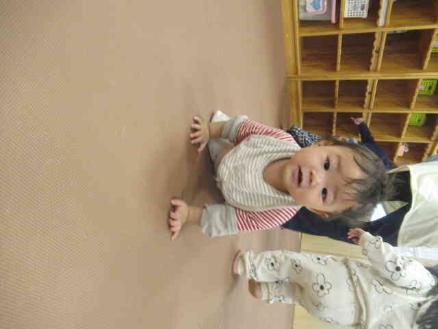 ハイハイがさらに小さくなってカメさんだよ〜♪