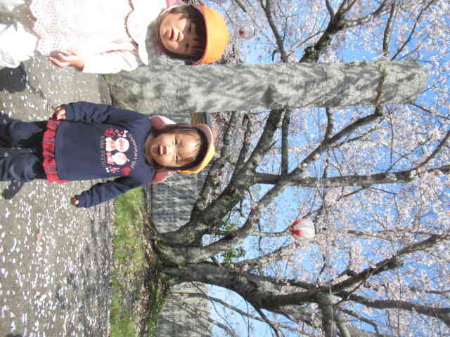 花びらが散ってきれいだったね！