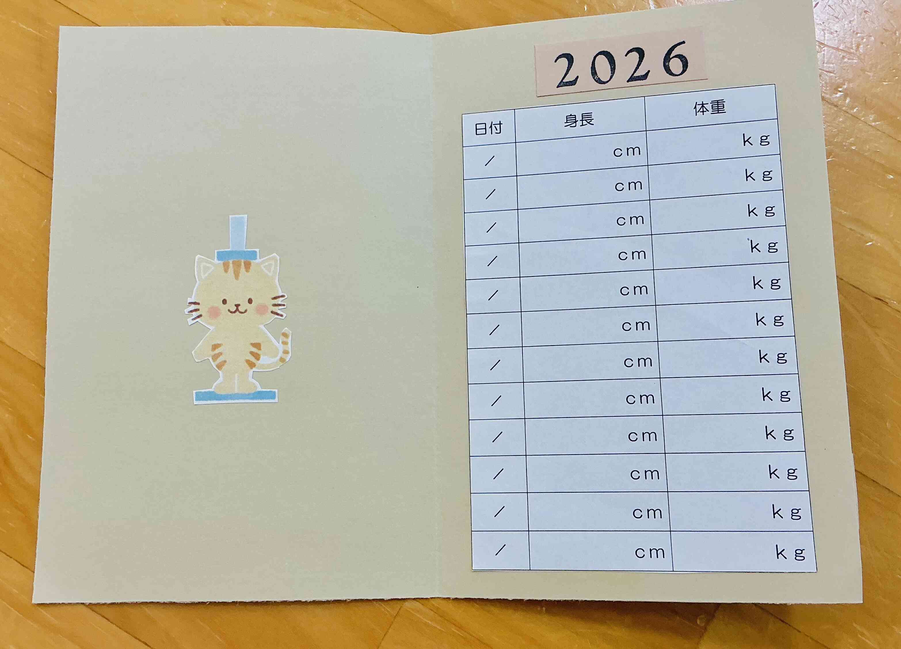 中はこんなかんじ⭐︎