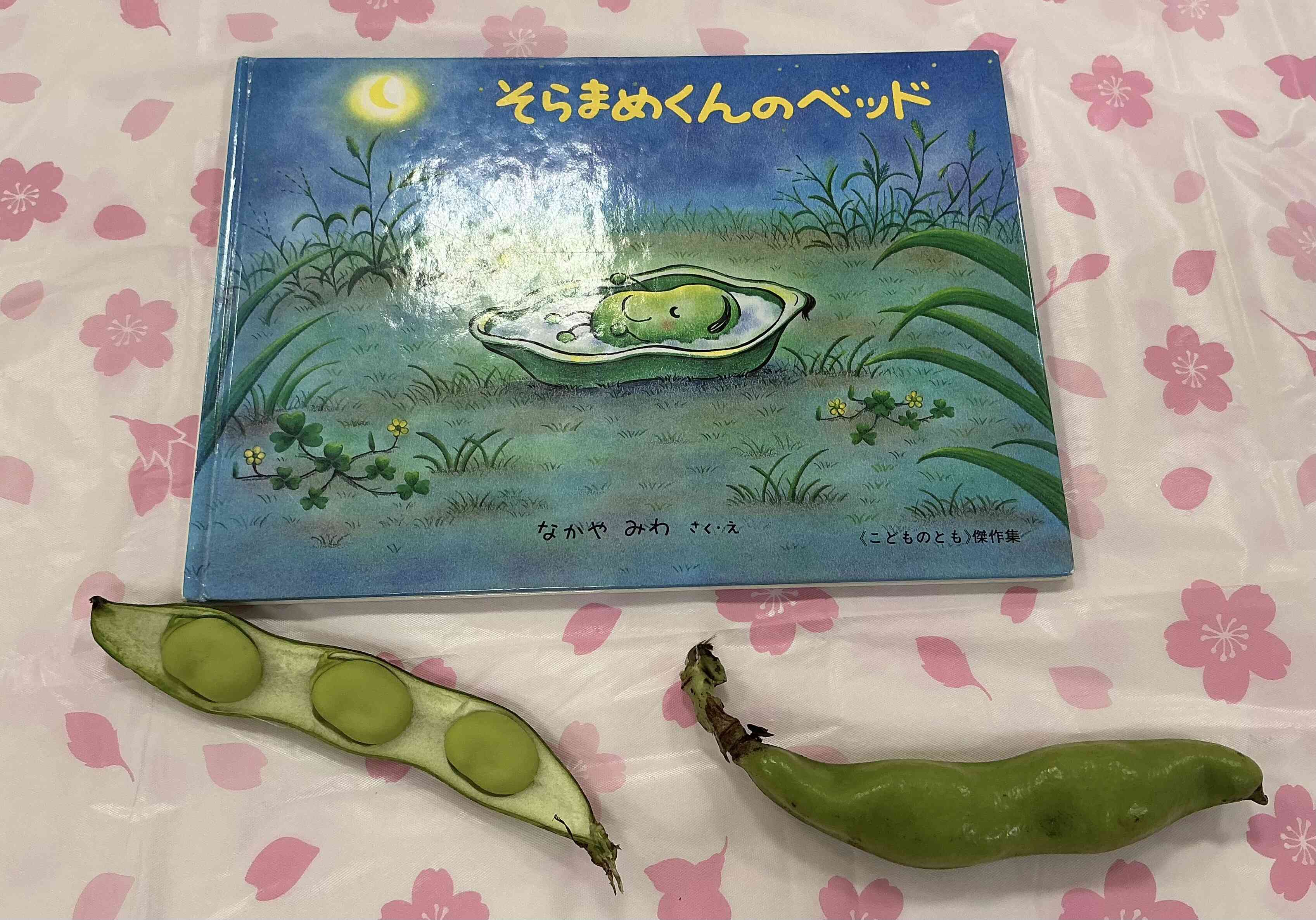 そらまめくんのベットあるかな?(あひる組 1歳児)