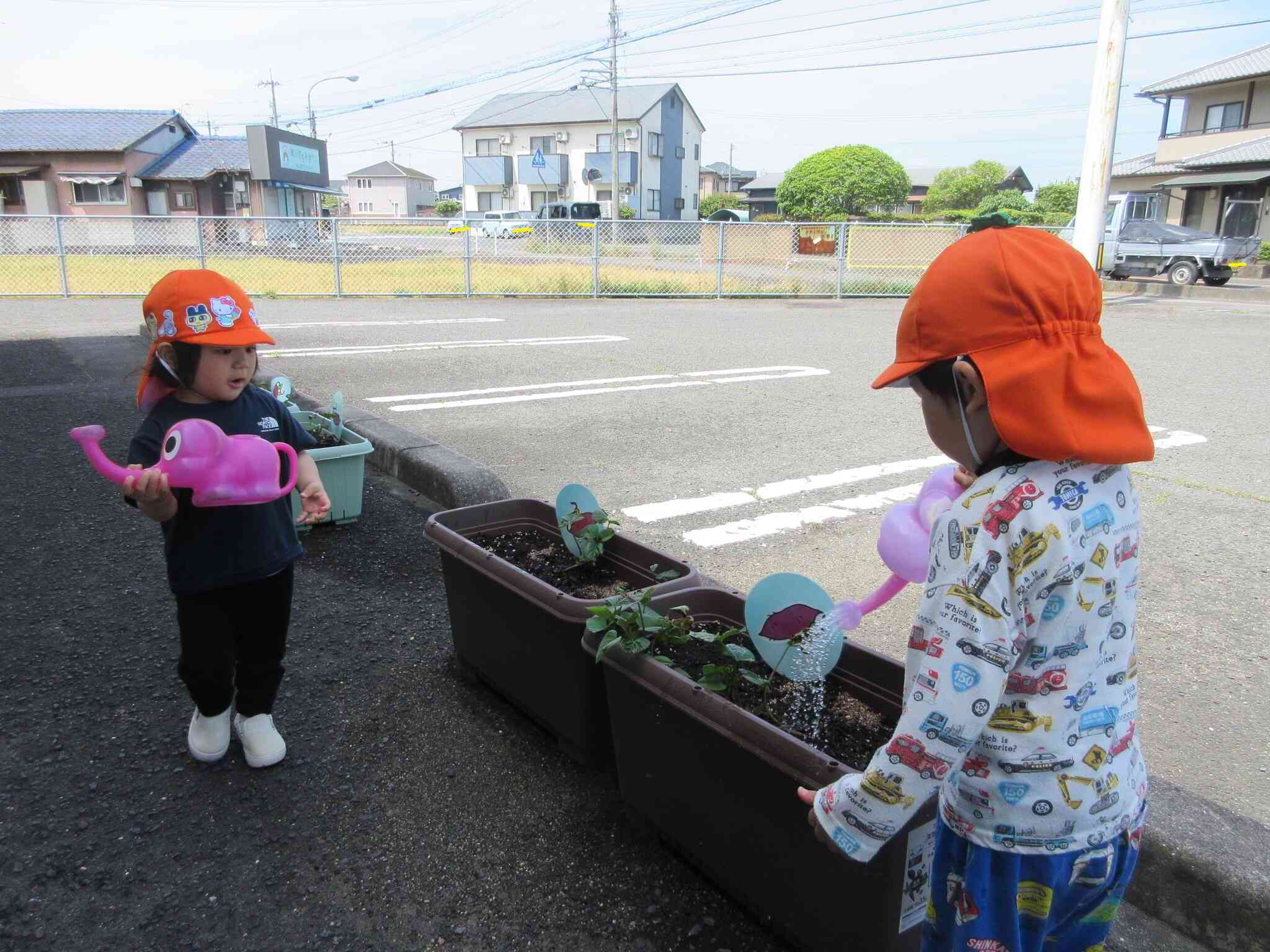 夏野菜•さつまいもを植えたよ（うさぎ組２歳児）