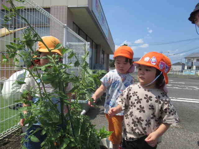 色がかわった！（うさぎ組・2歳児）
