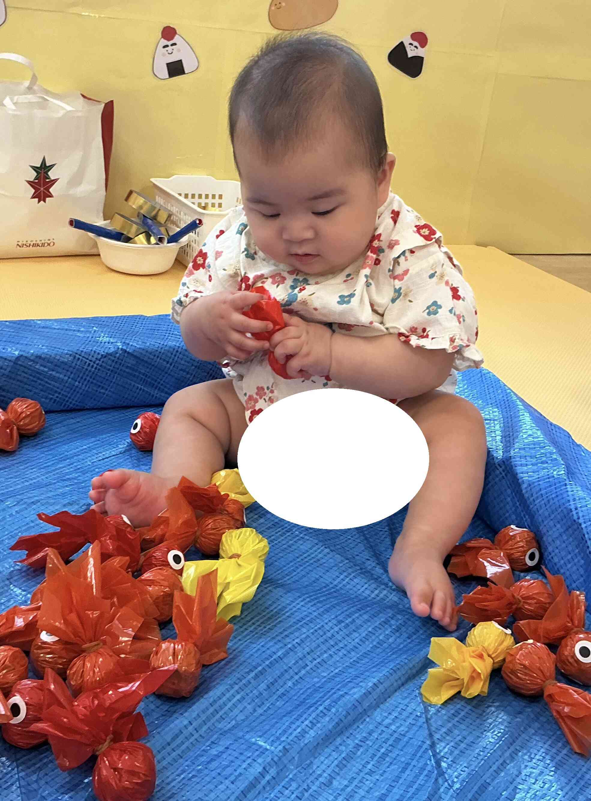 金魚がいっぱい⭐︎どの金魚にしようかな〜♡
