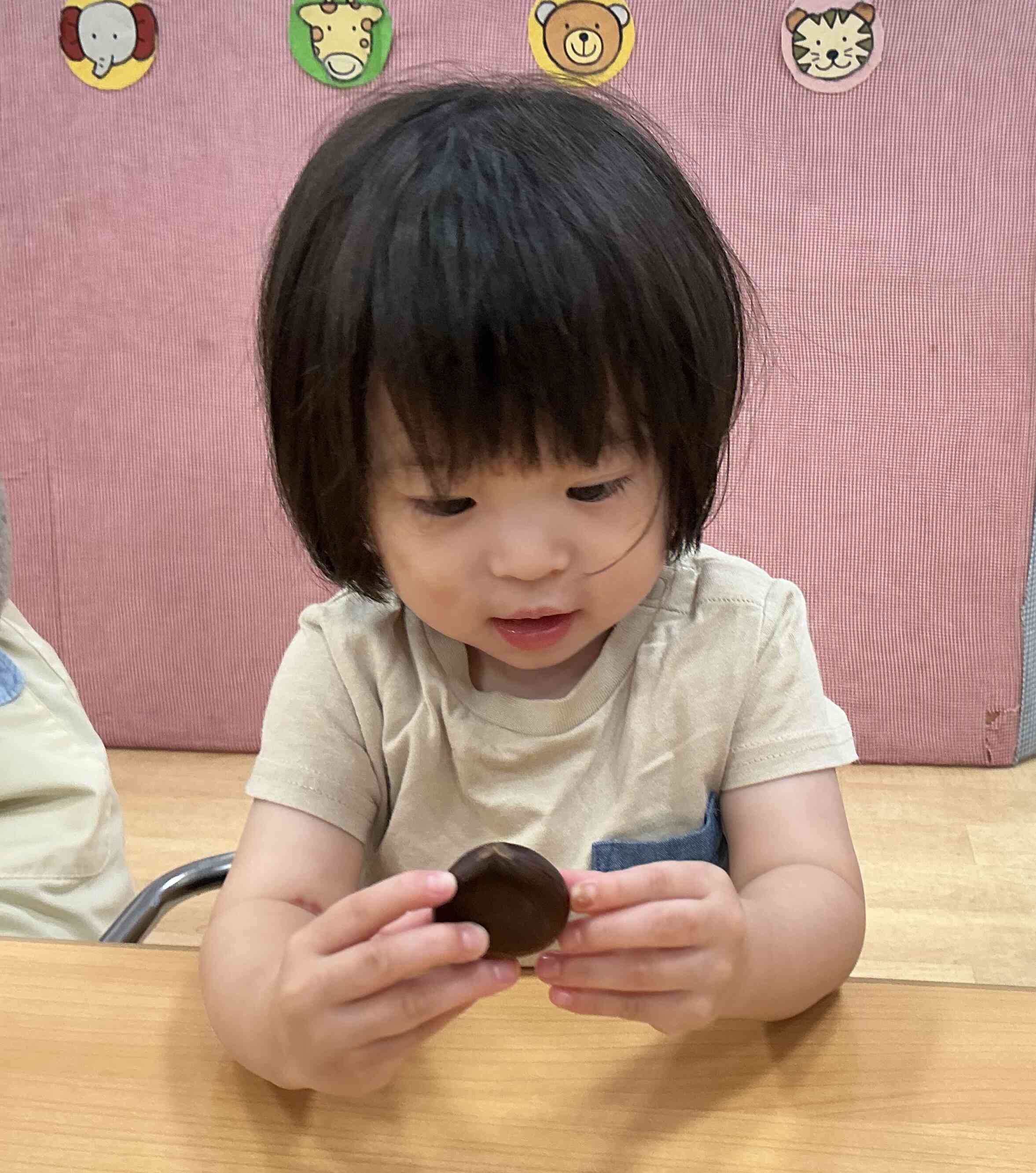 ⭐︎秋の味覚⭐︎栗⭐︎  いっぱい栗を拾ったよ⭐︎