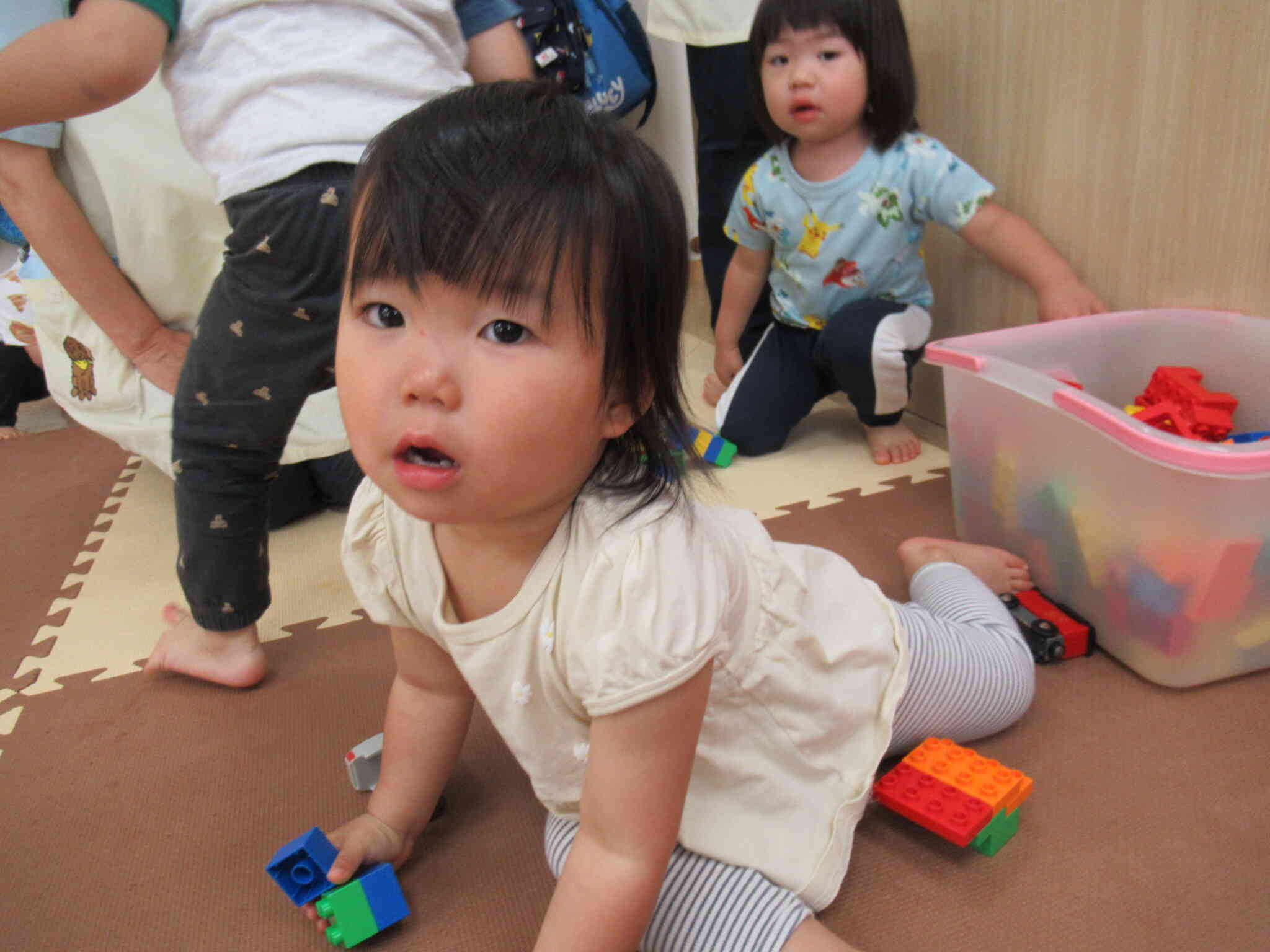 新しいお友達