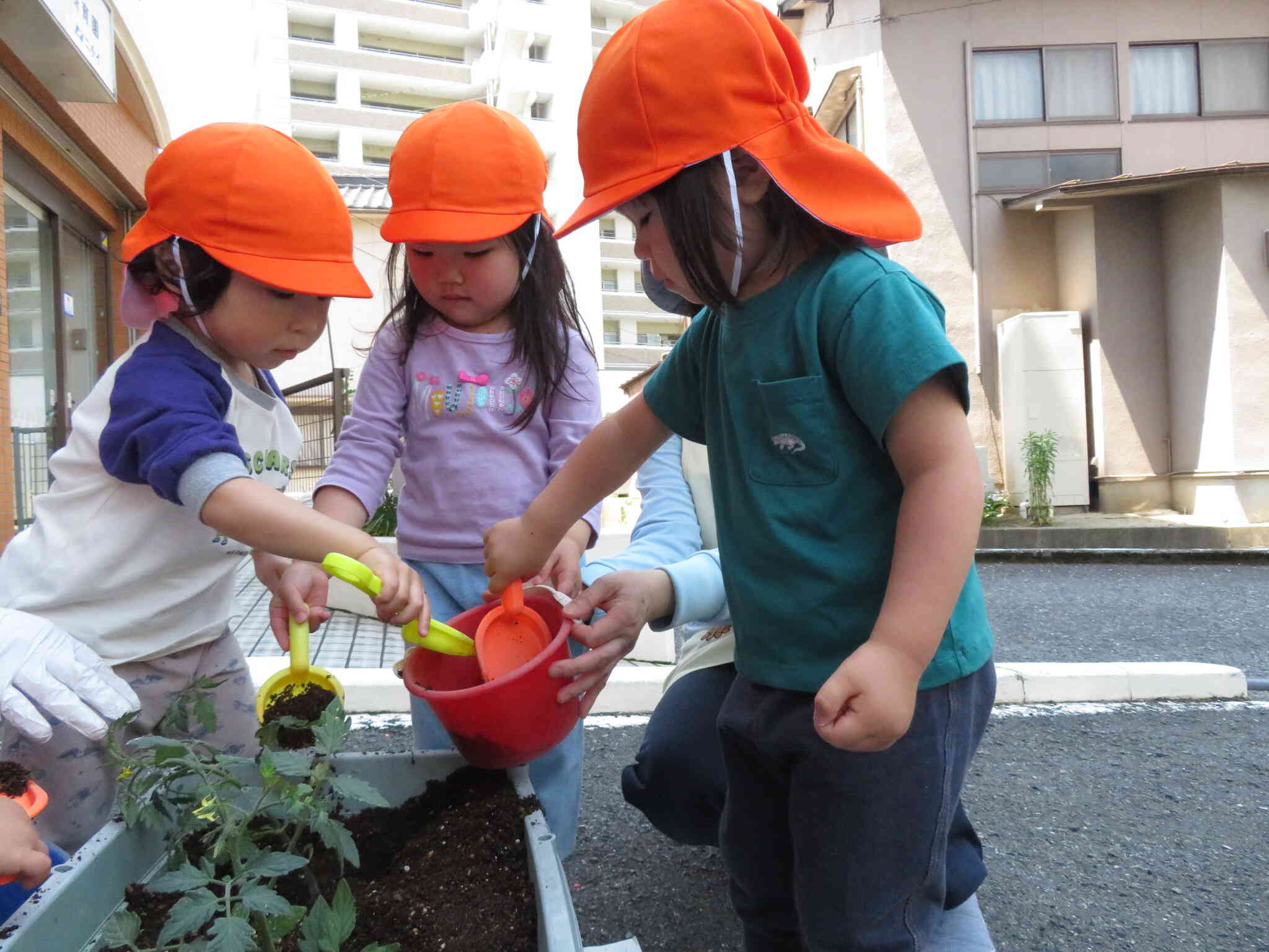 やさしく、土をかけてくれました。