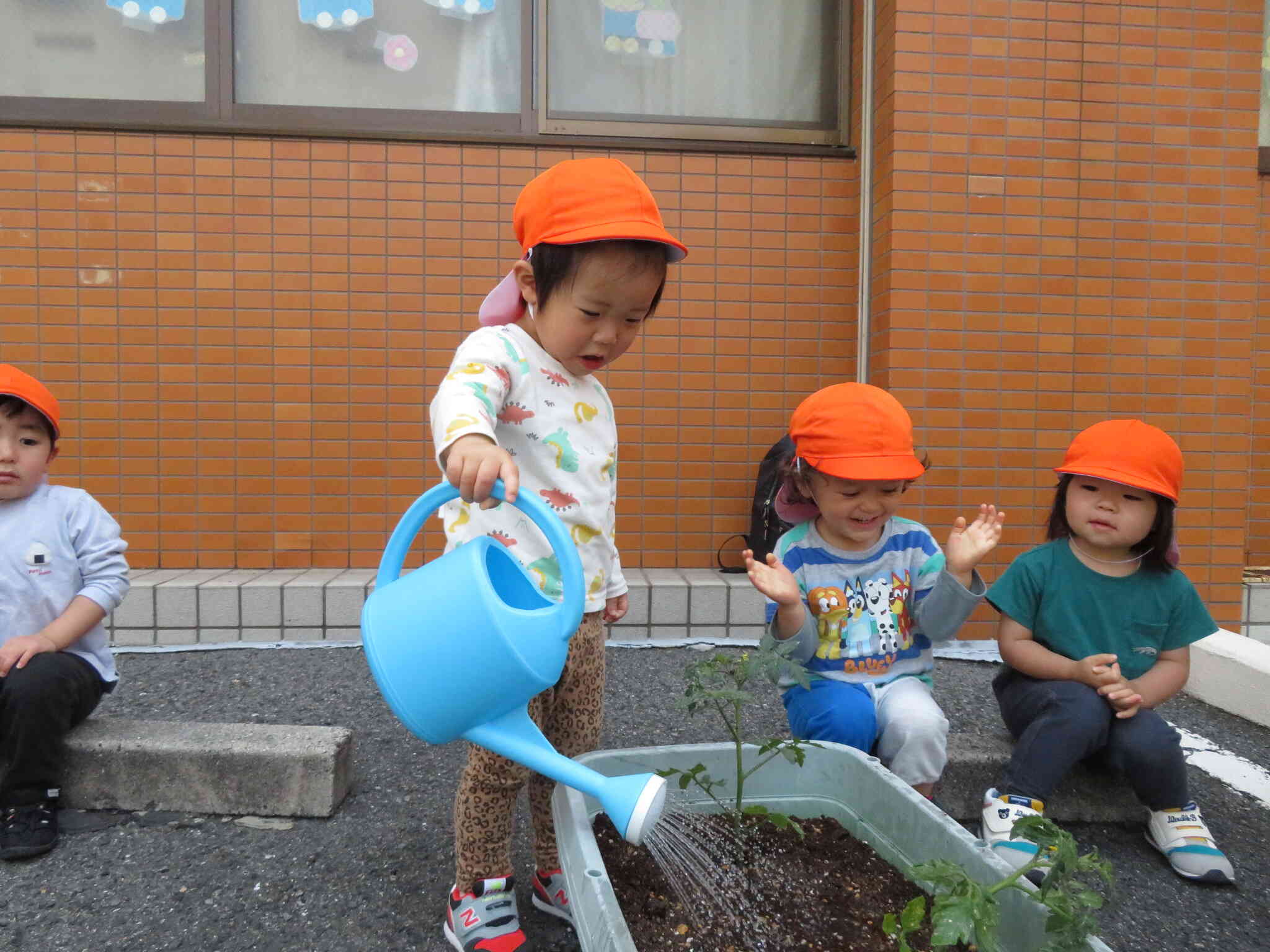 これからトマトの世話と観察を毎日します。