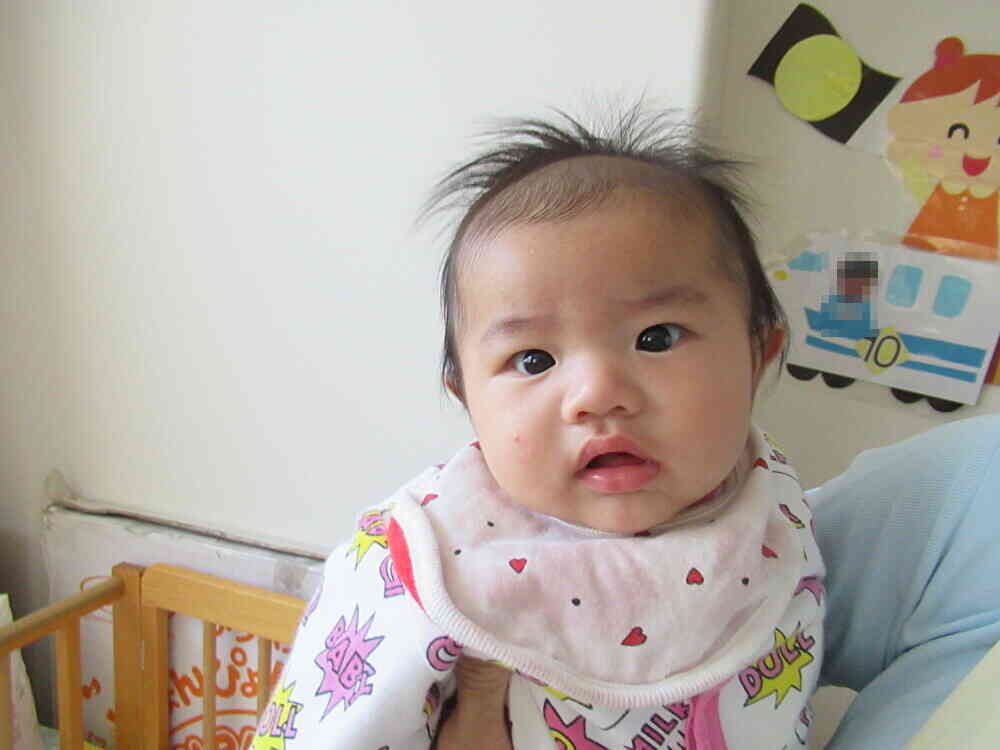 毎日、賑やかです