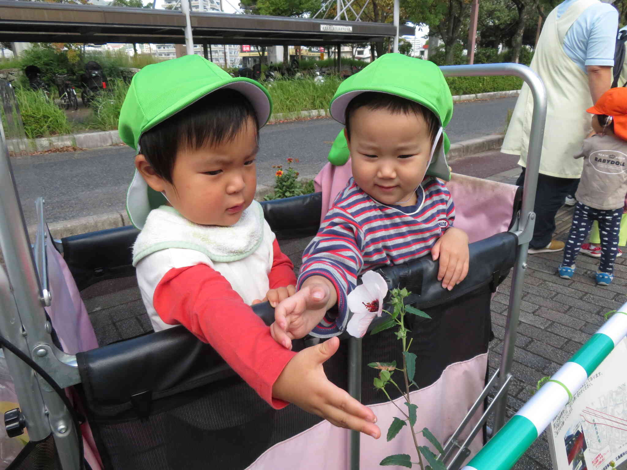 戸外が、気持ち良い季節になりつつあります。