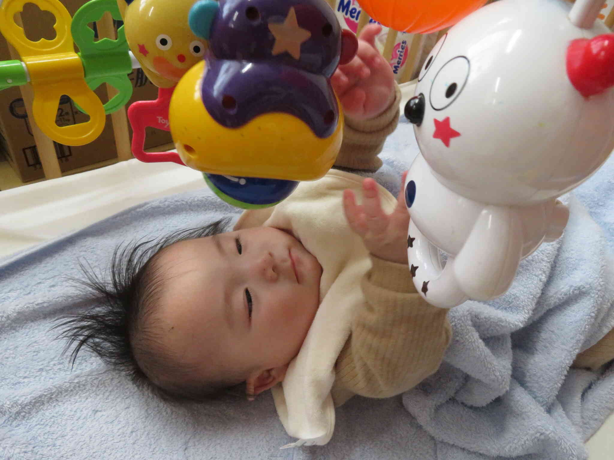 ひよこ組（0歳児クラス）の様子