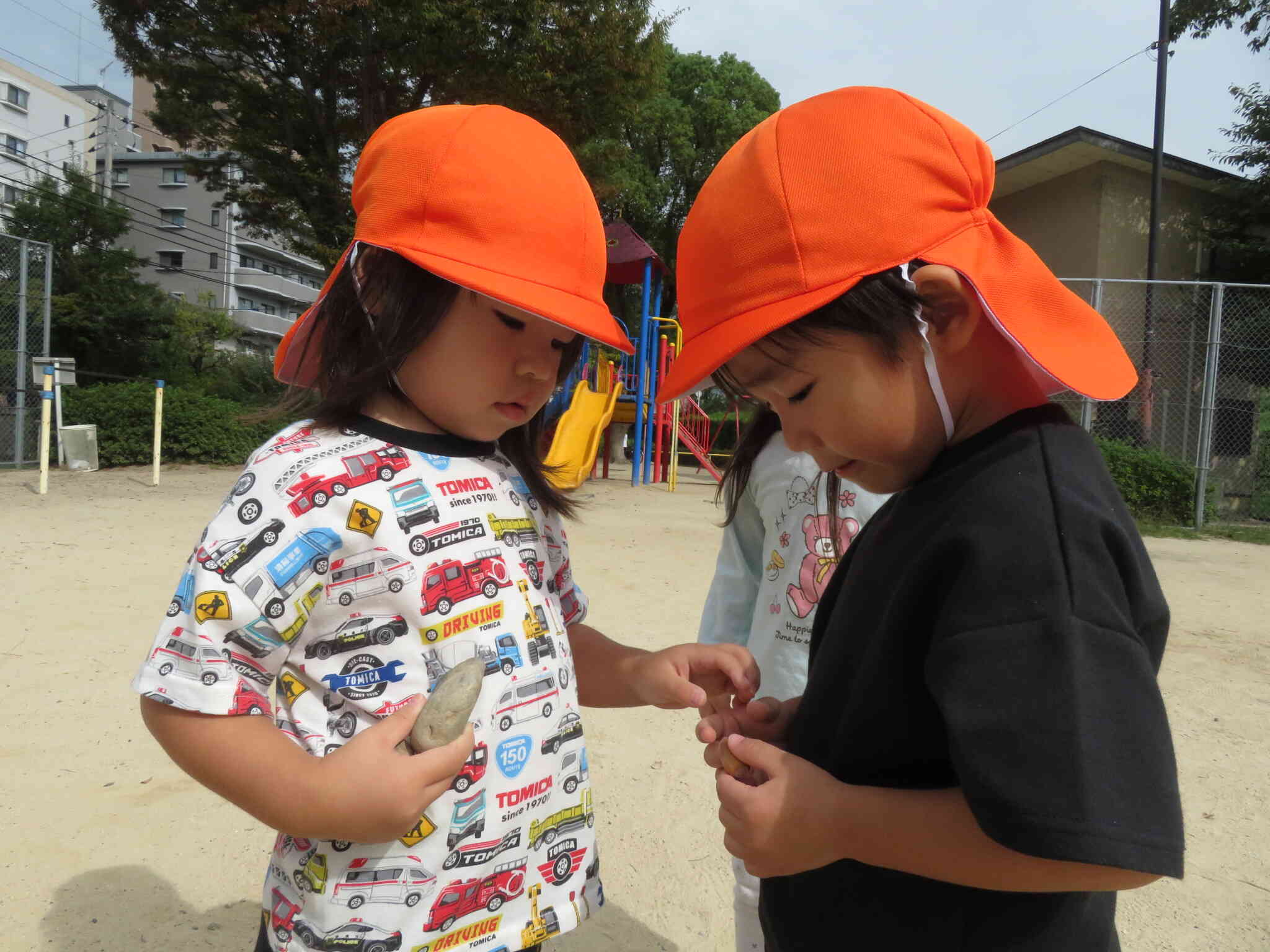 どんぐりを発見