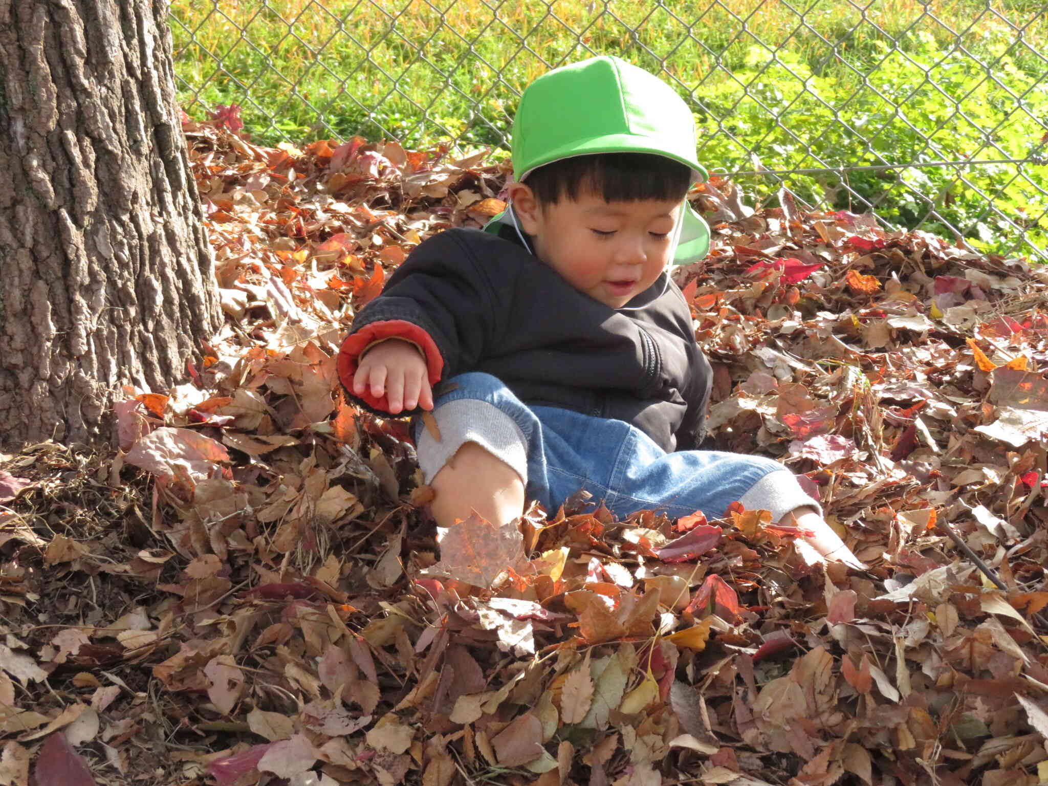 落ち葉のお布団みたいで　気持ちいいね。