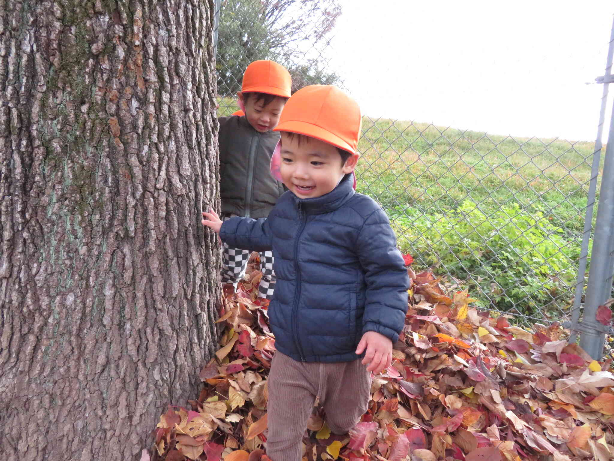 うさぎ組（2歳児クラス）の様子