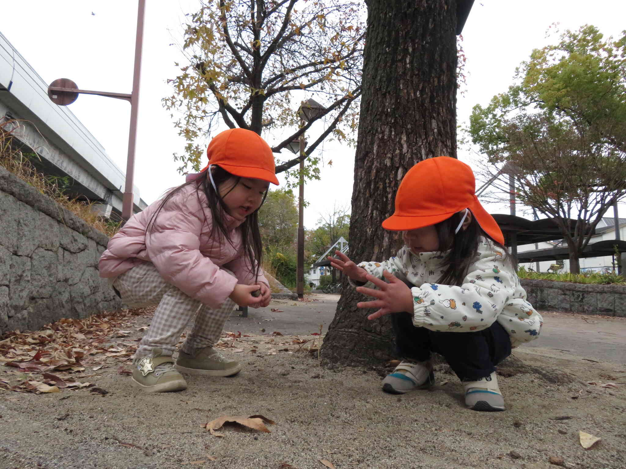 お誕生日ケーキ