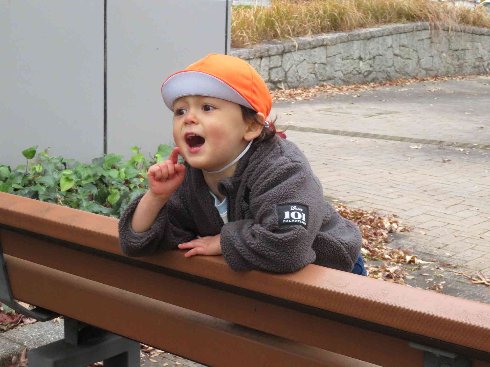 アストラムラインが見えた