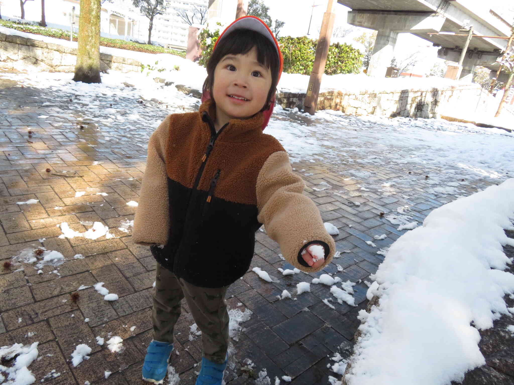 雪が積もりました