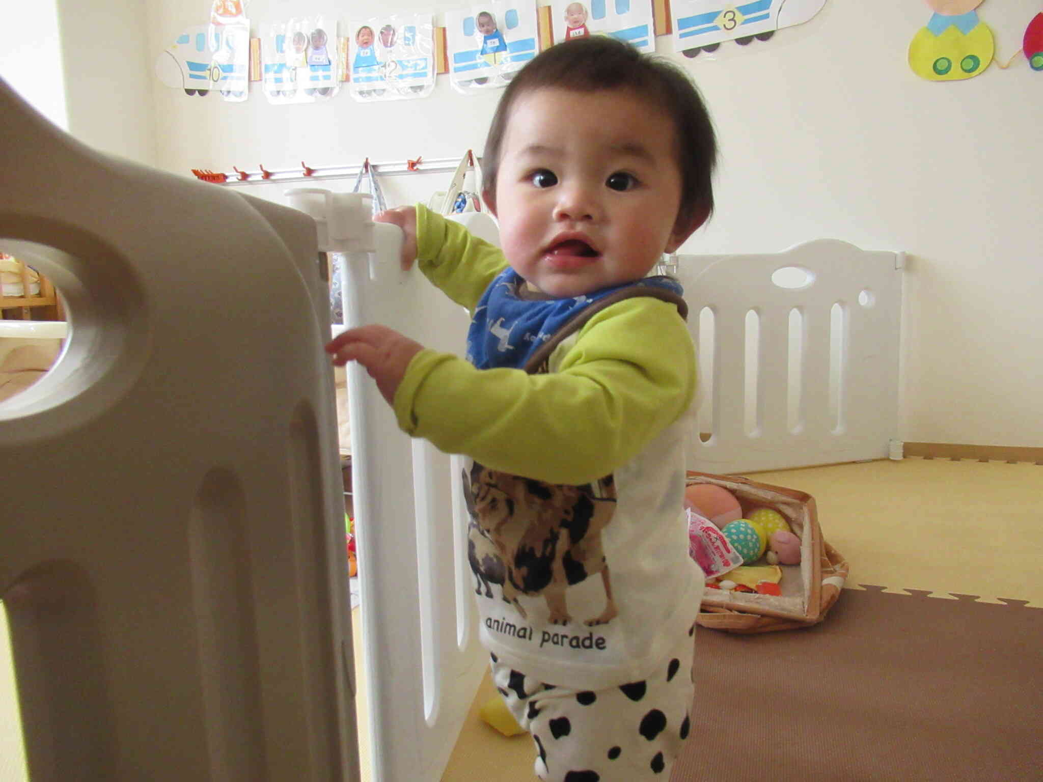 大きくなったよ