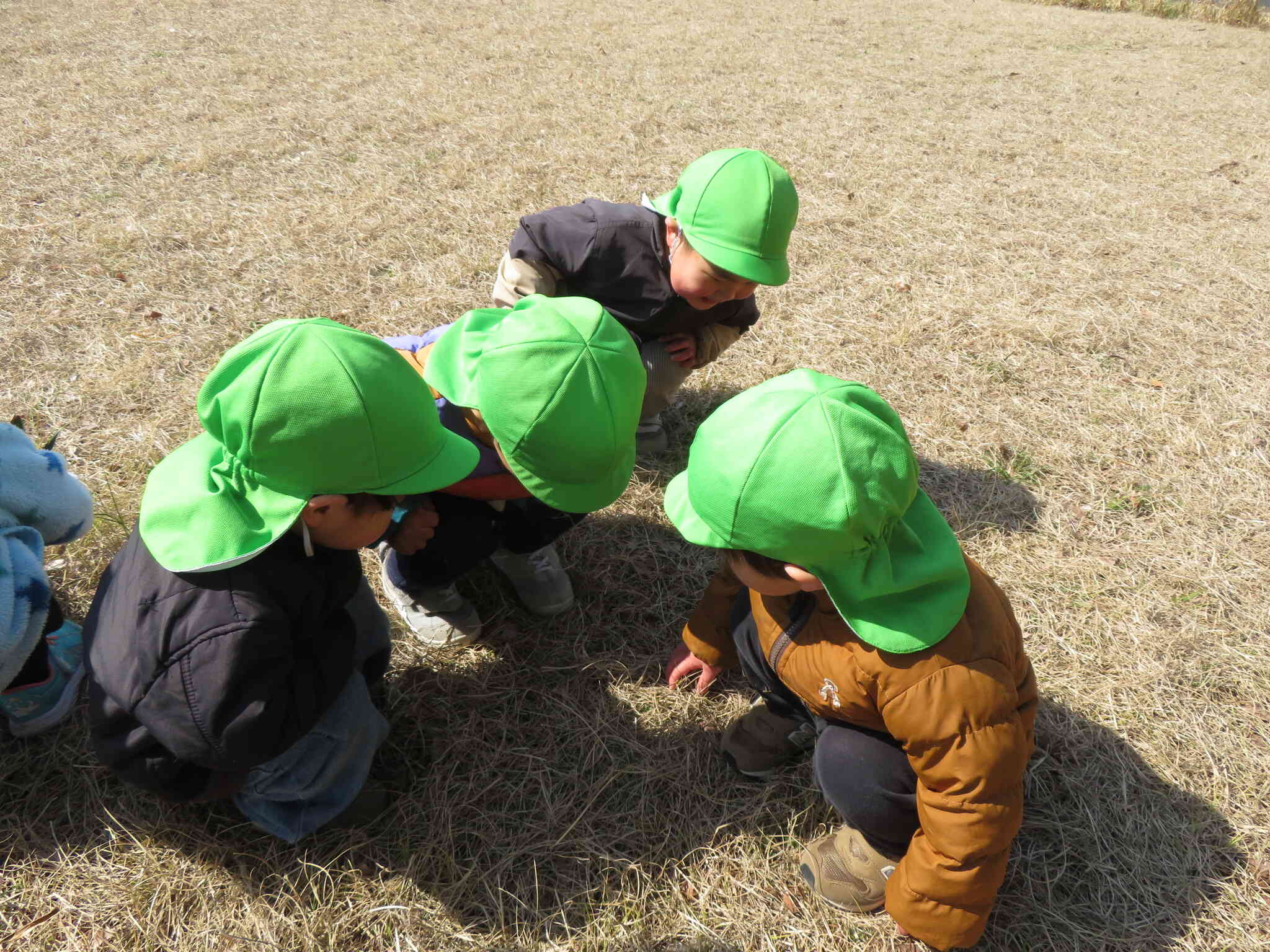 てんとう虫を　見つけたよ