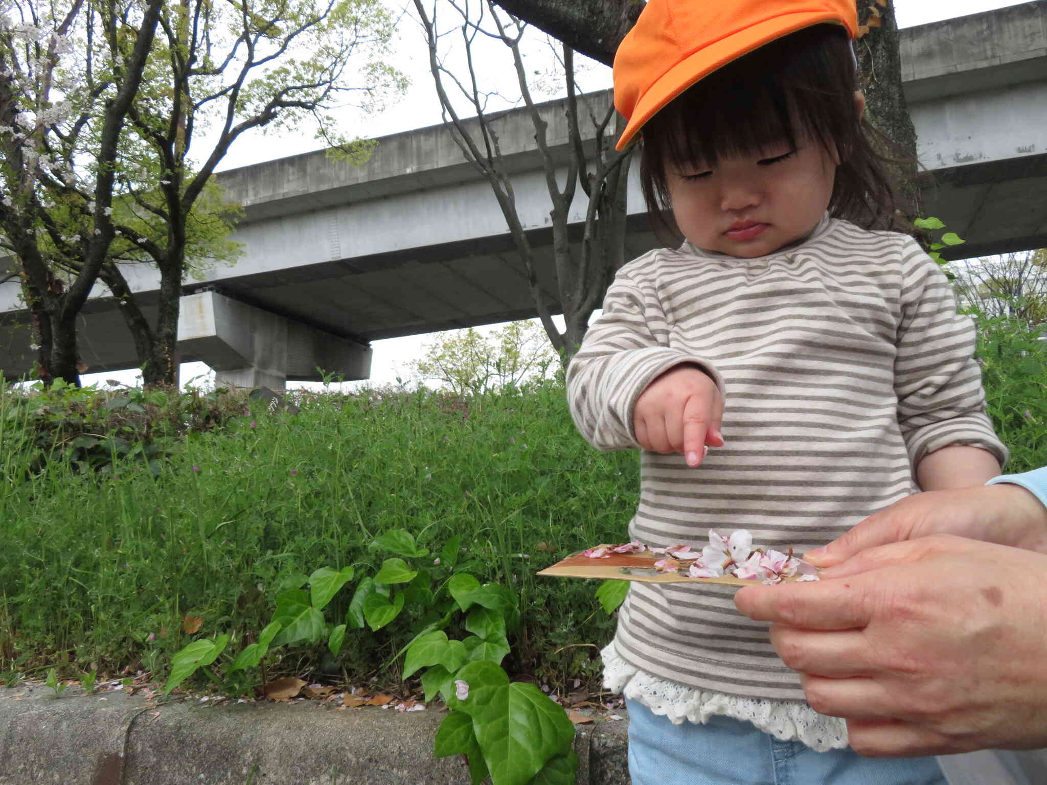 花びらを使って…