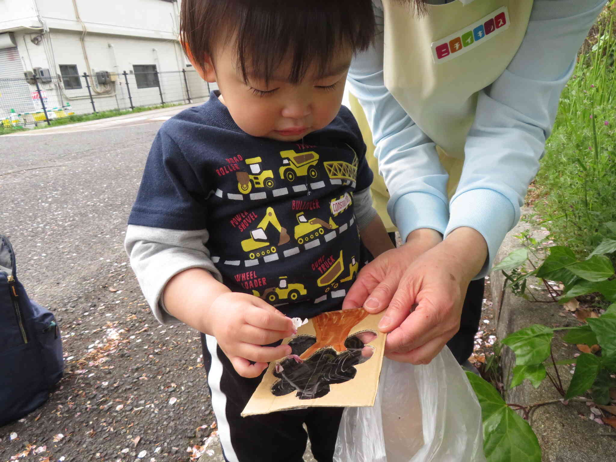 世界に一つだけの桜