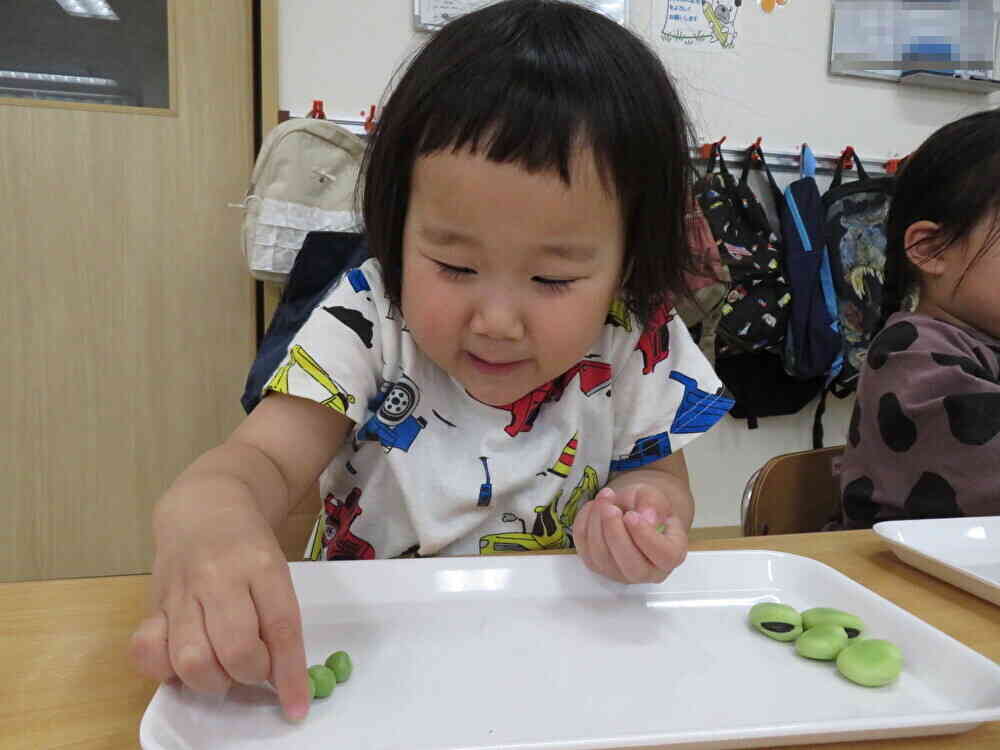 ５種類の豆