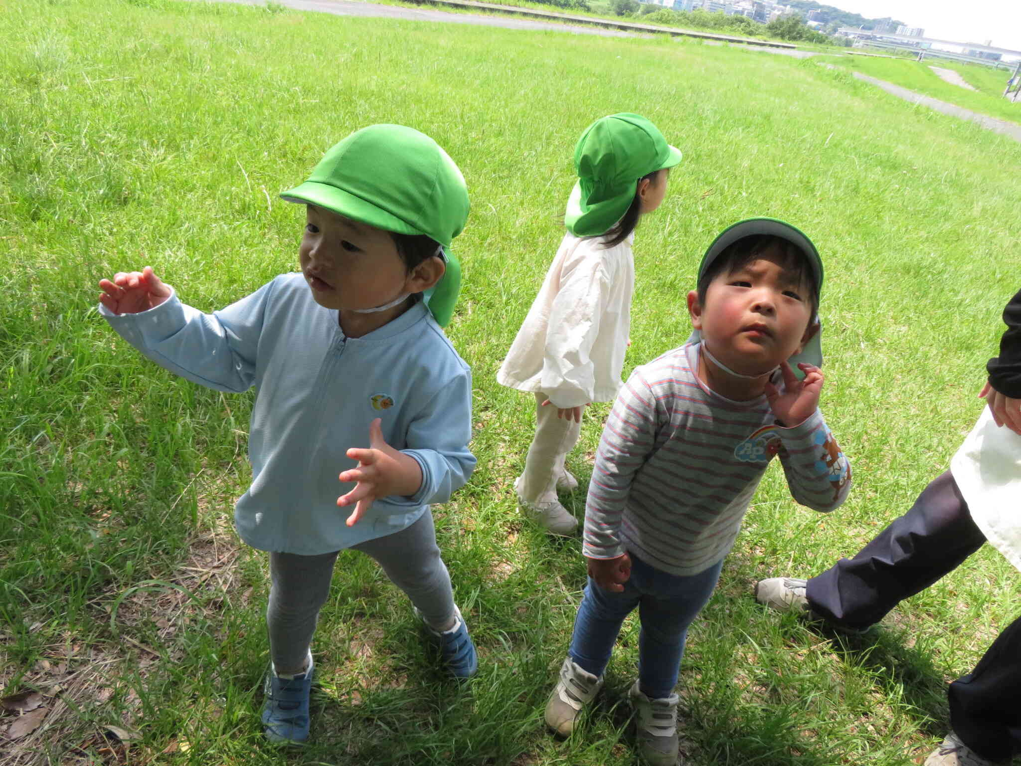 鳴き声は　どこから？