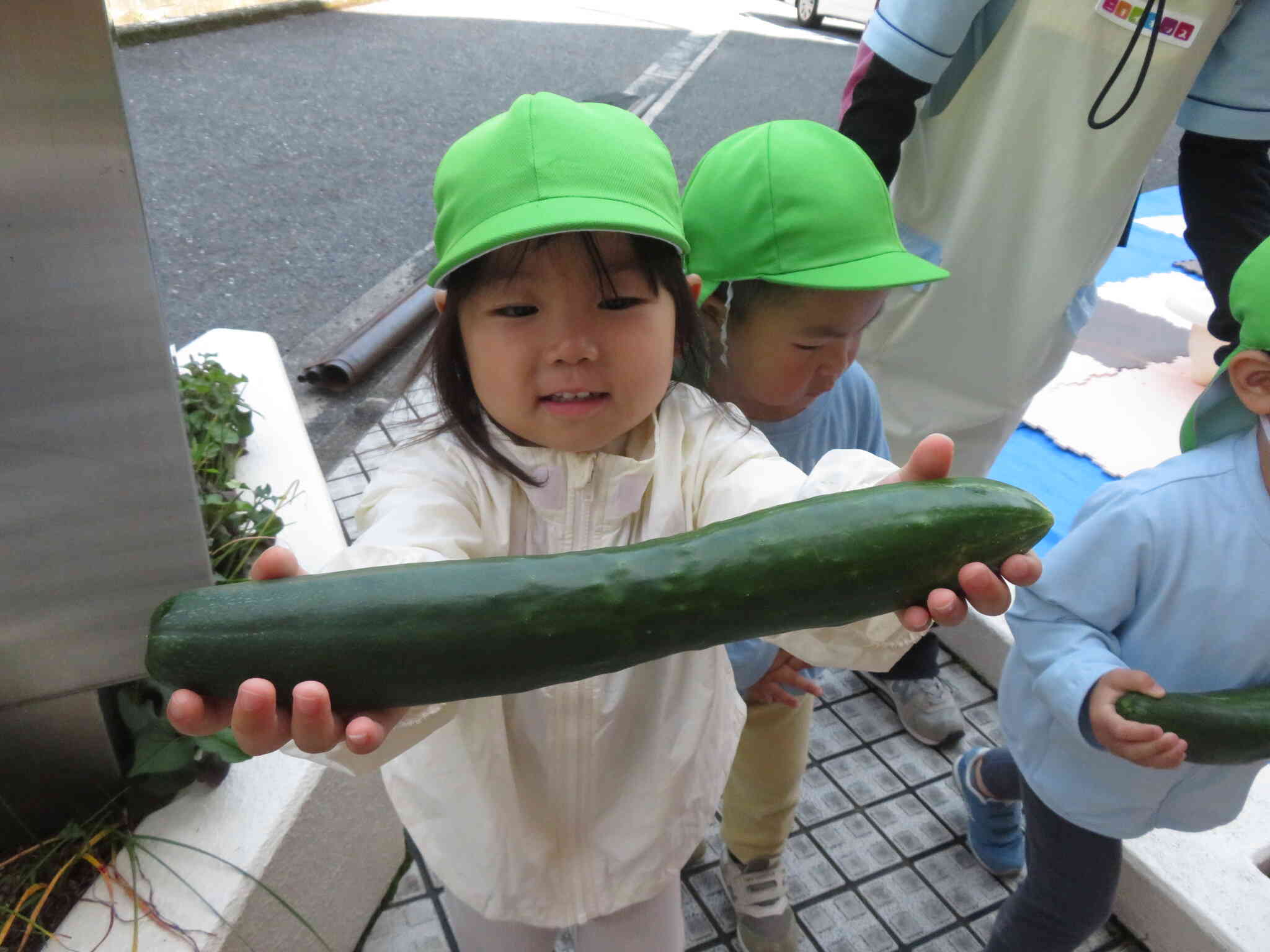 でっかくなり過ぎたキュウリ