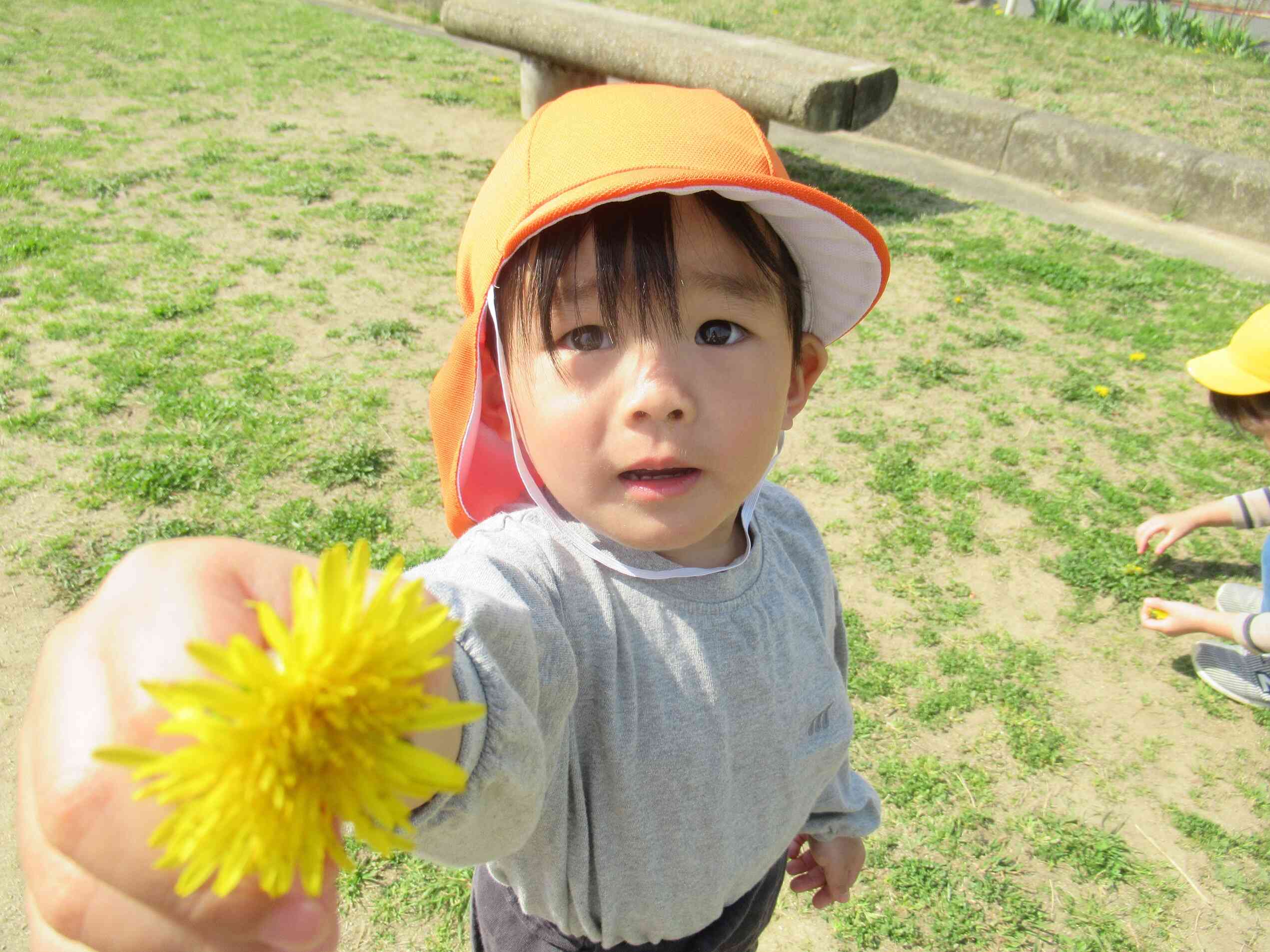 きれいだな～♪