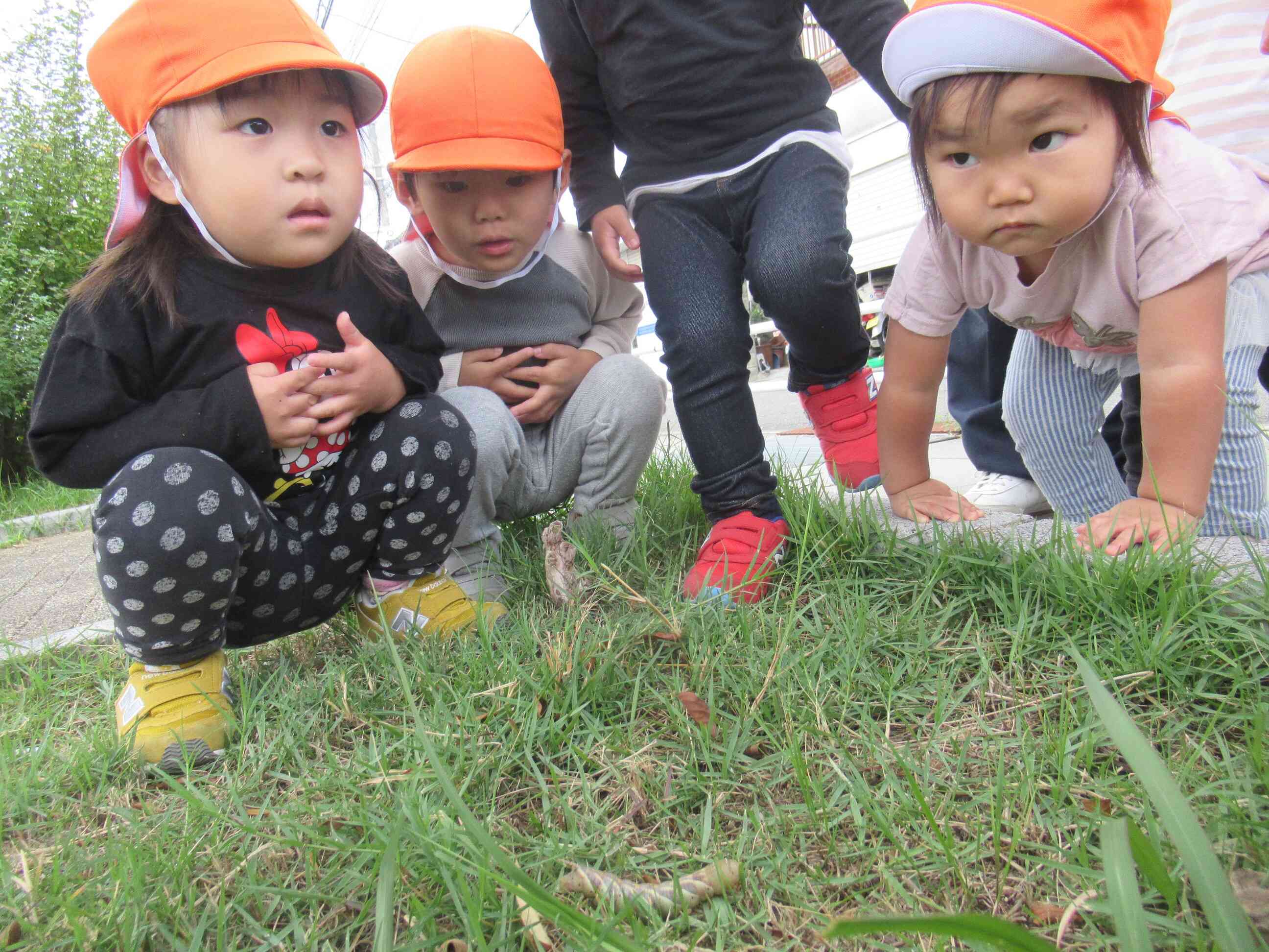 ホール開放へ行く途中に出会ったお友だち