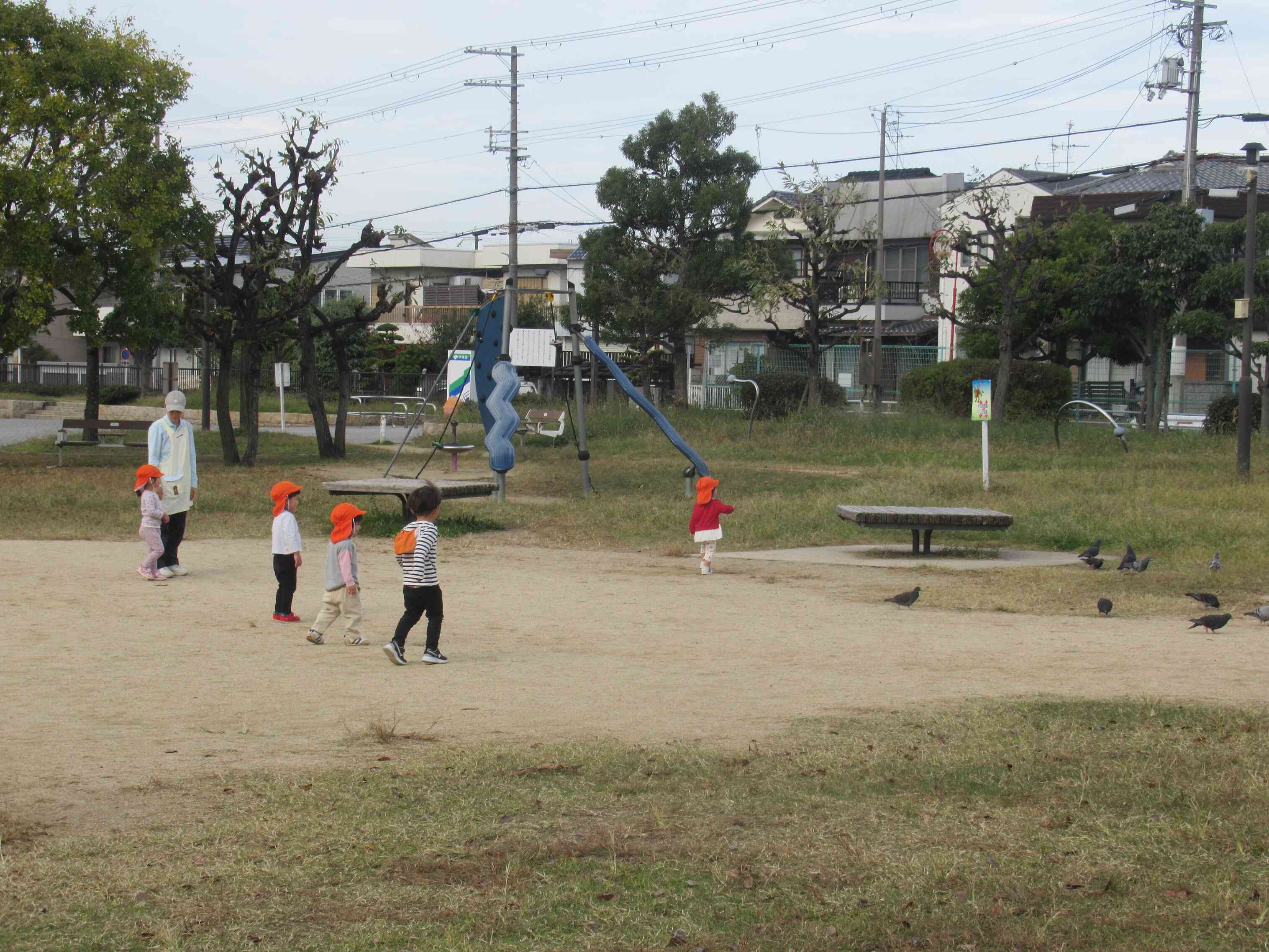 鳥さんみーつけた！
