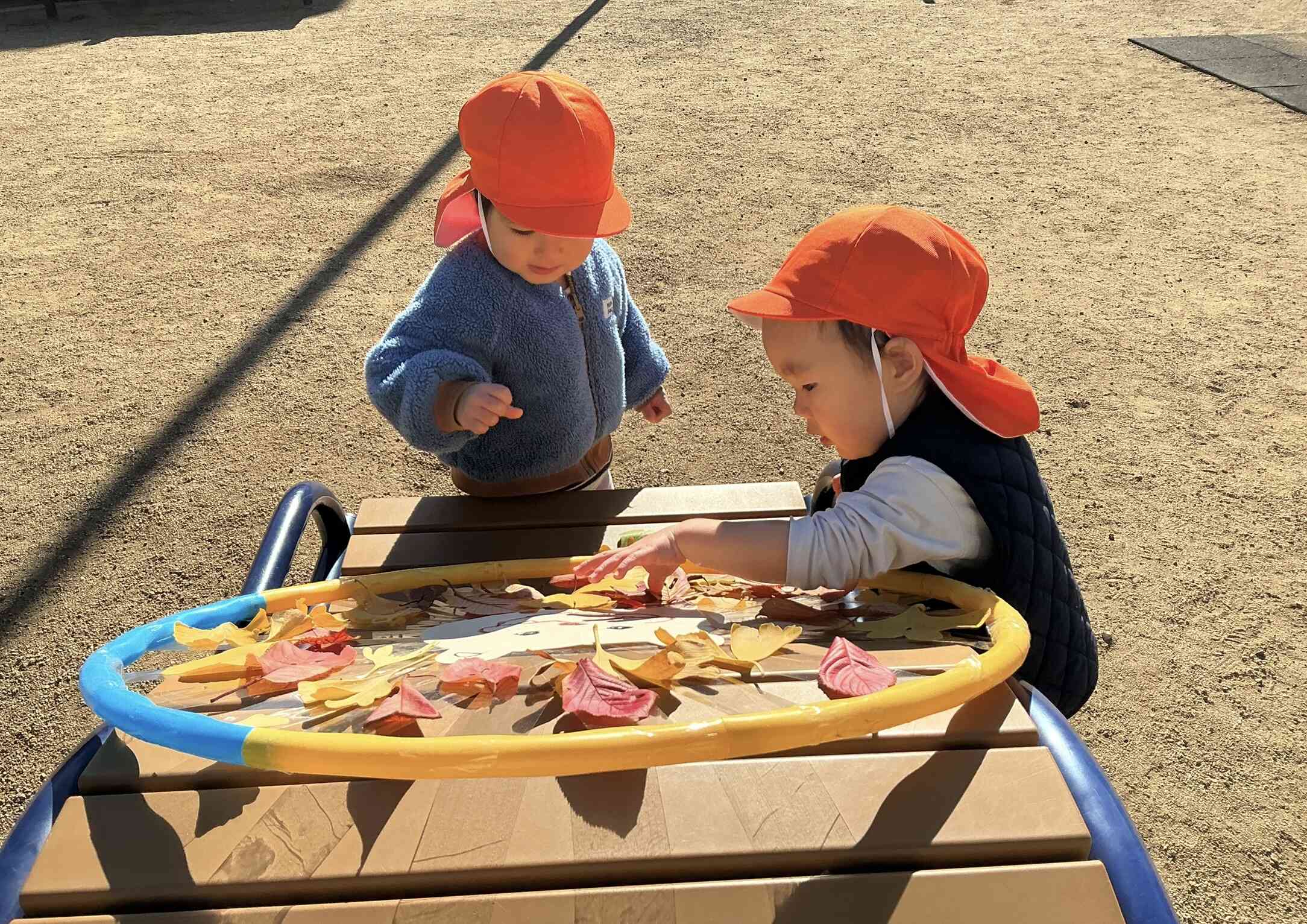 落ち葉がいっぱい‼︎