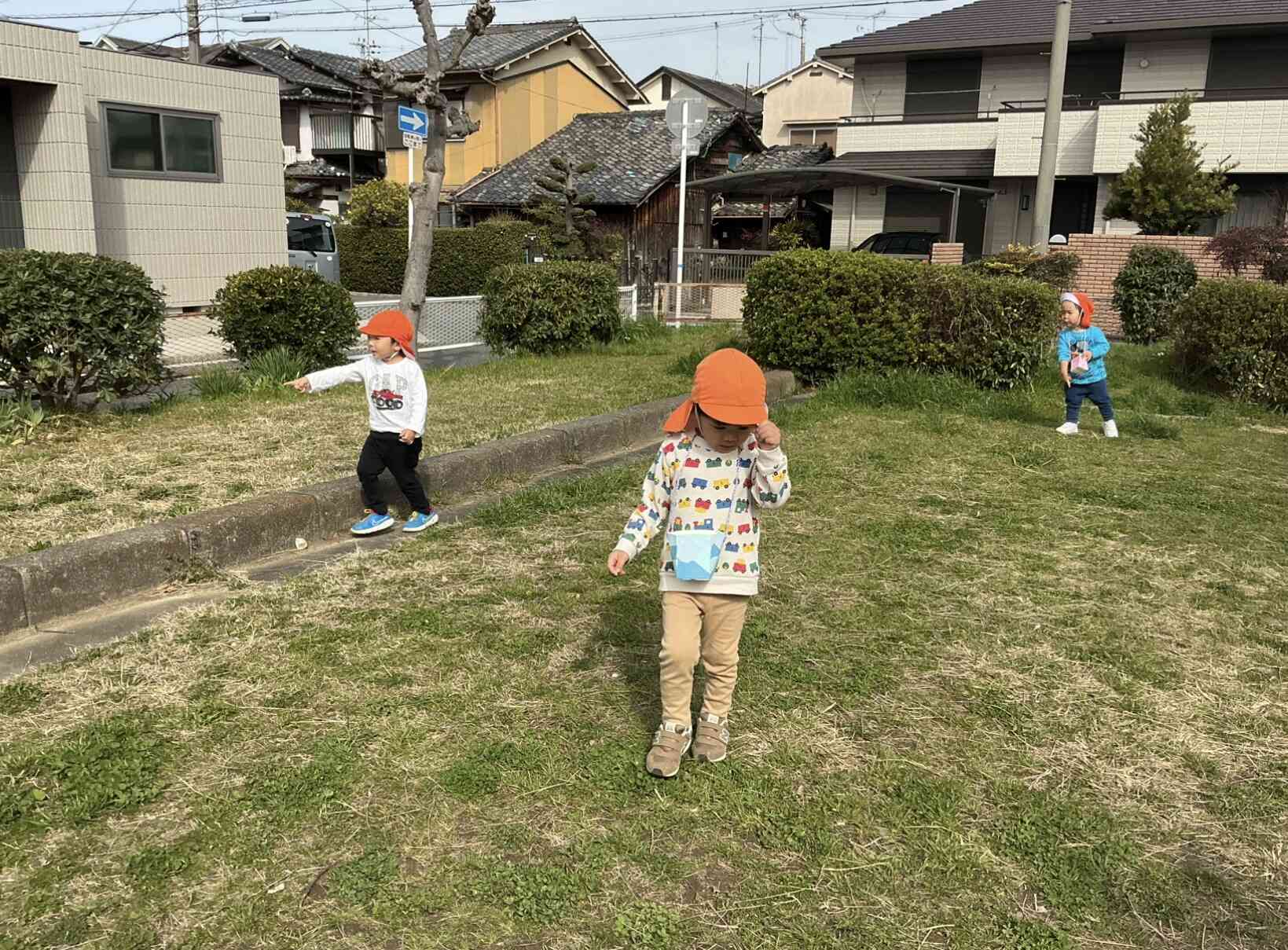 花びらどこにあるかな？