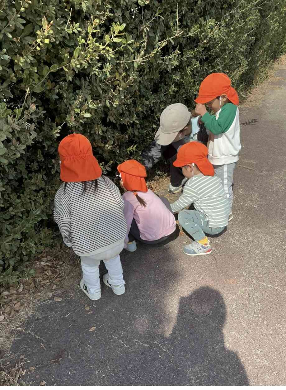 どんぐりがいっぱい落ちてたよー！