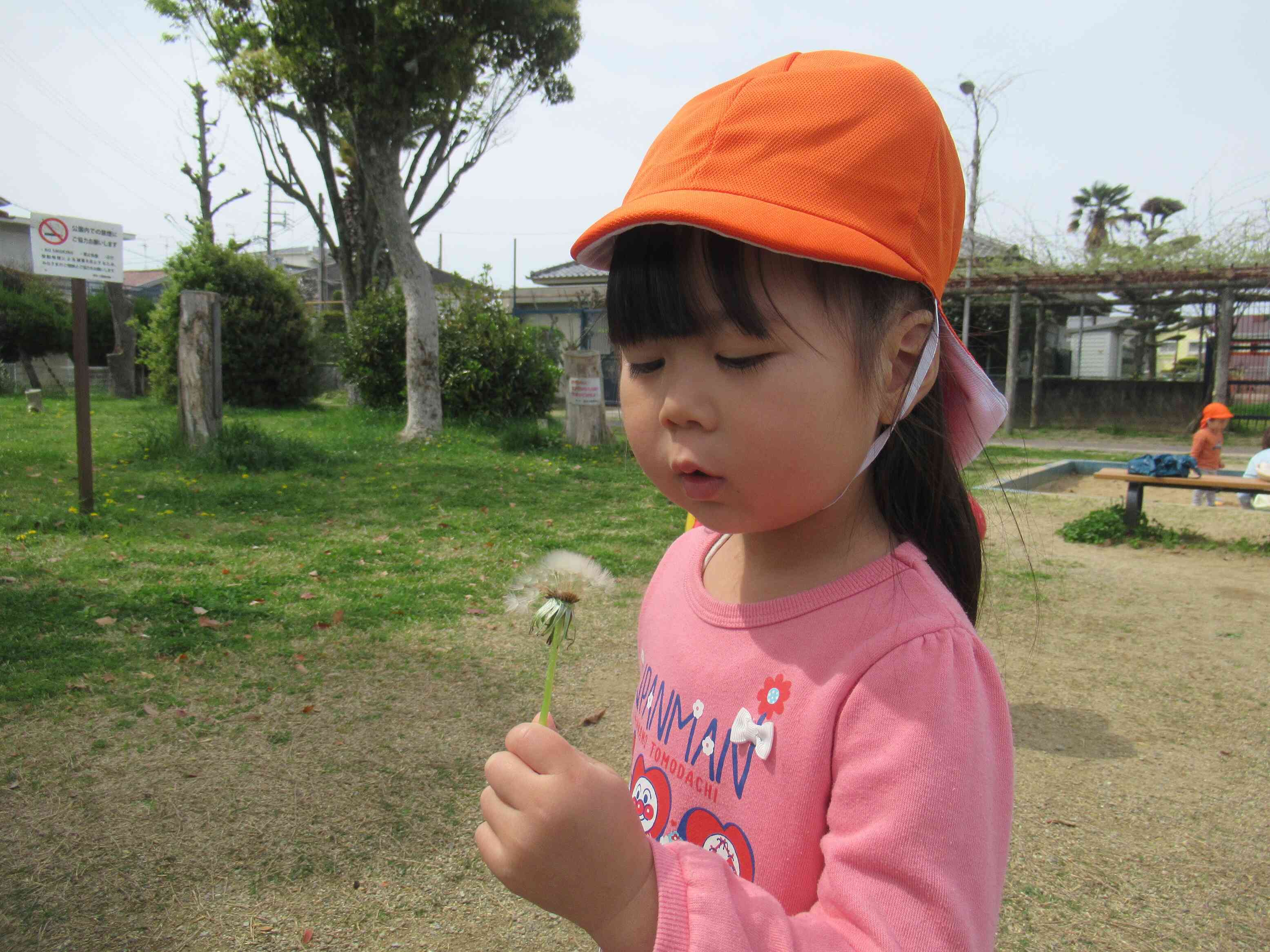 わたげみーつけた！