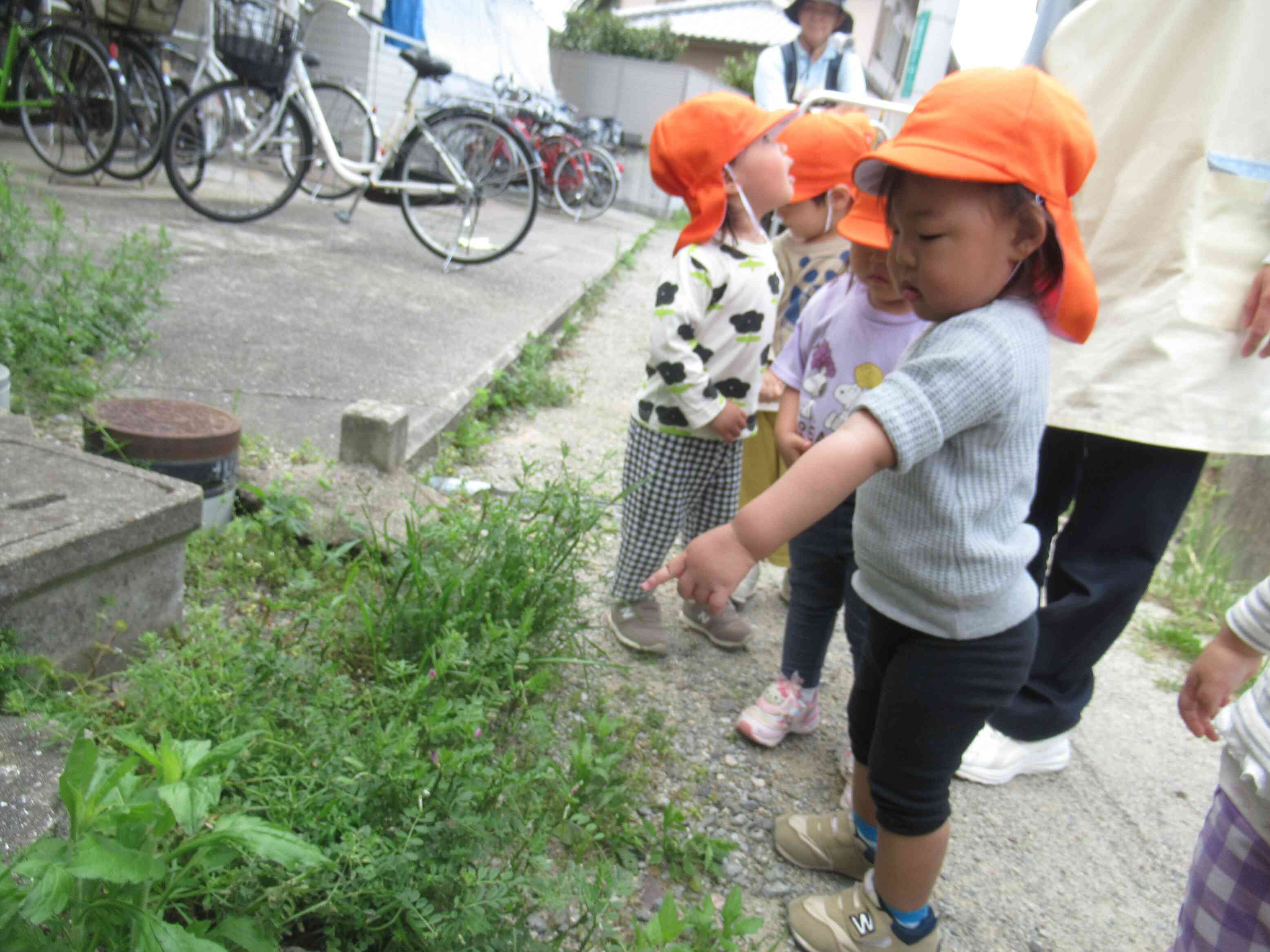 お花を見つけたよ！