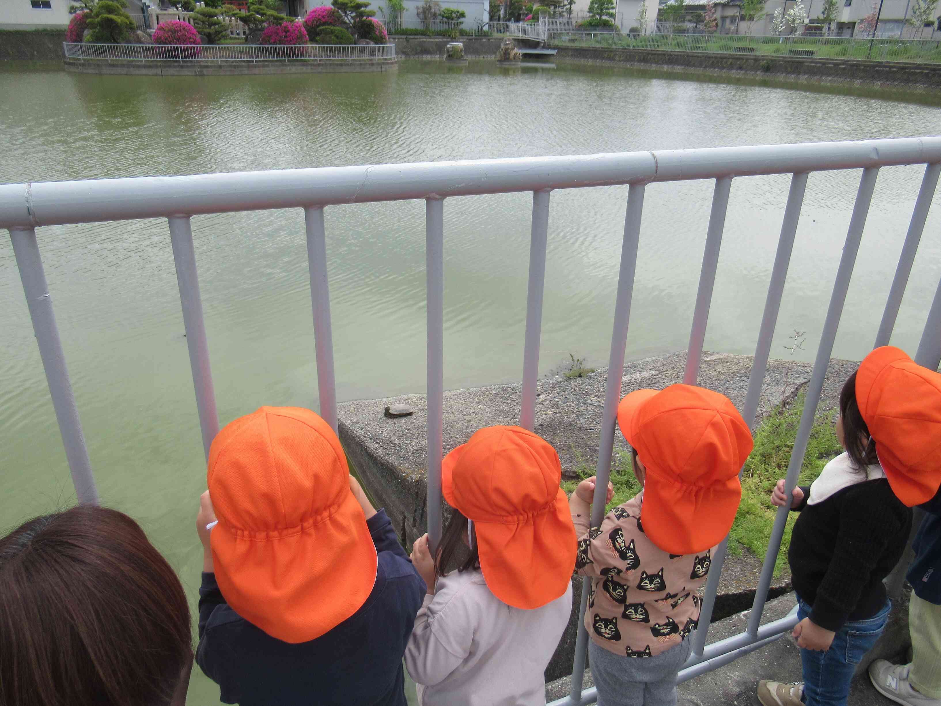 かめさんがいたよ♡